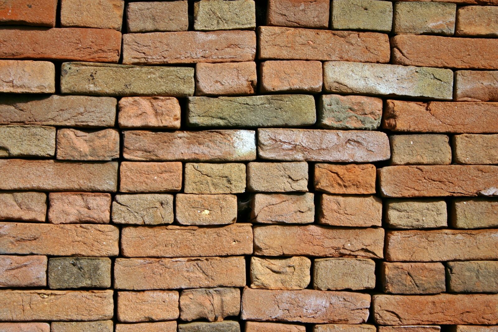 Canon EOS 300D (EOS Digital Rebel / EOS Kiss Digital) sample photo. Brick wall, brick, wall photography