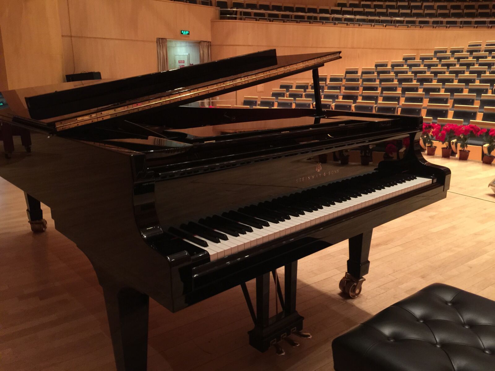 iPhone 6 Plus back camera 4.15mm f/2.2 sample photo. Piano, concert hall, steinway photography