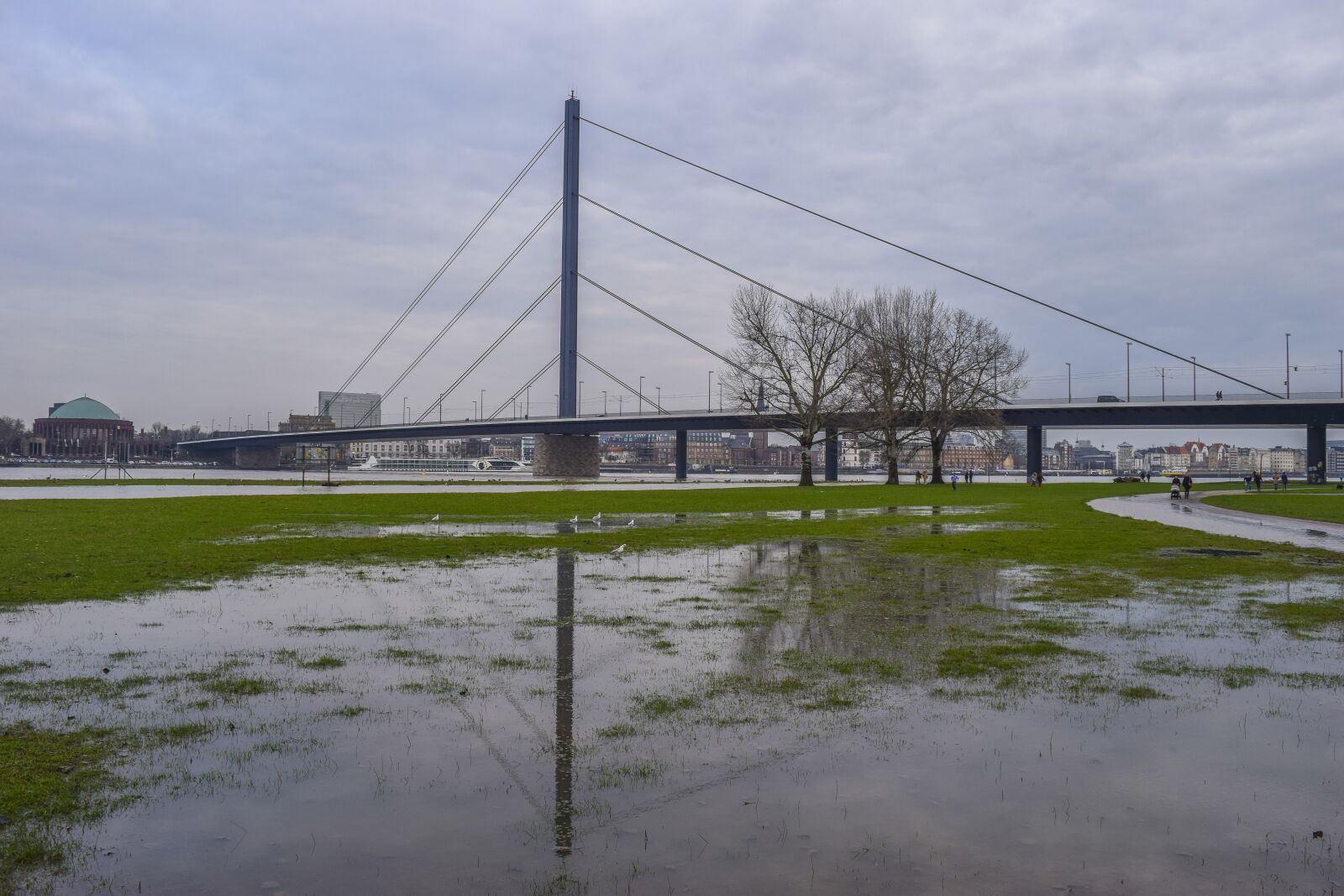 Nikon D3300 sample photo. High water, flood, water photography