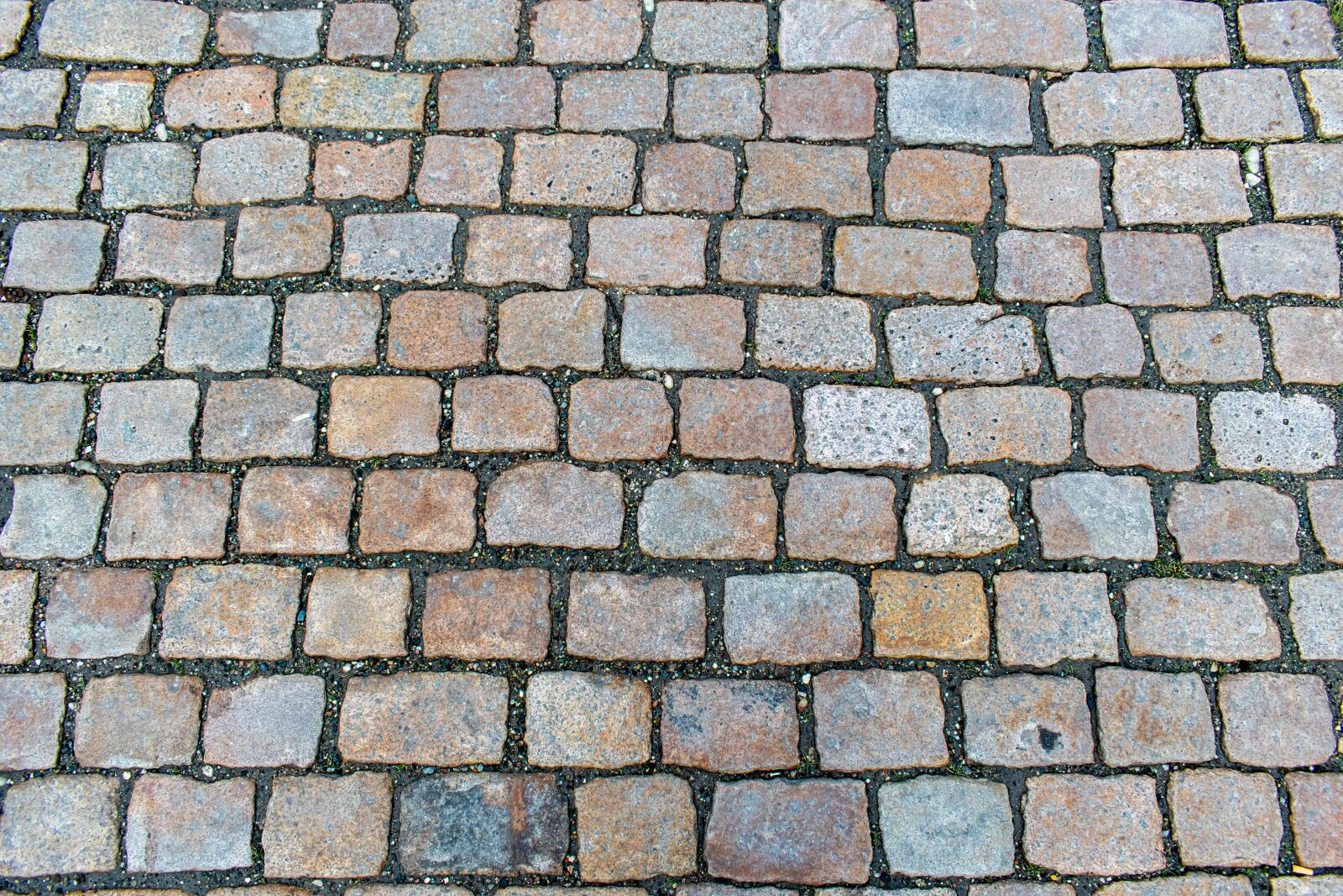 Nikon D5300 sample photo. Background, cobblestones, texture photography