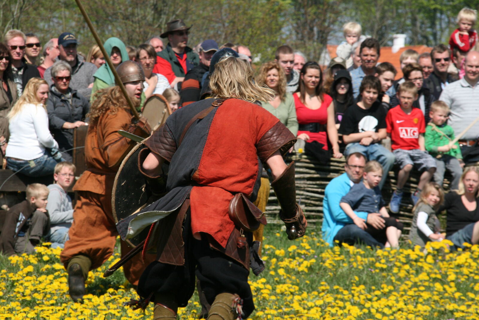 Sigma 18-200mm f/3.5-6.3 DC OS sample photo. Vikings photography