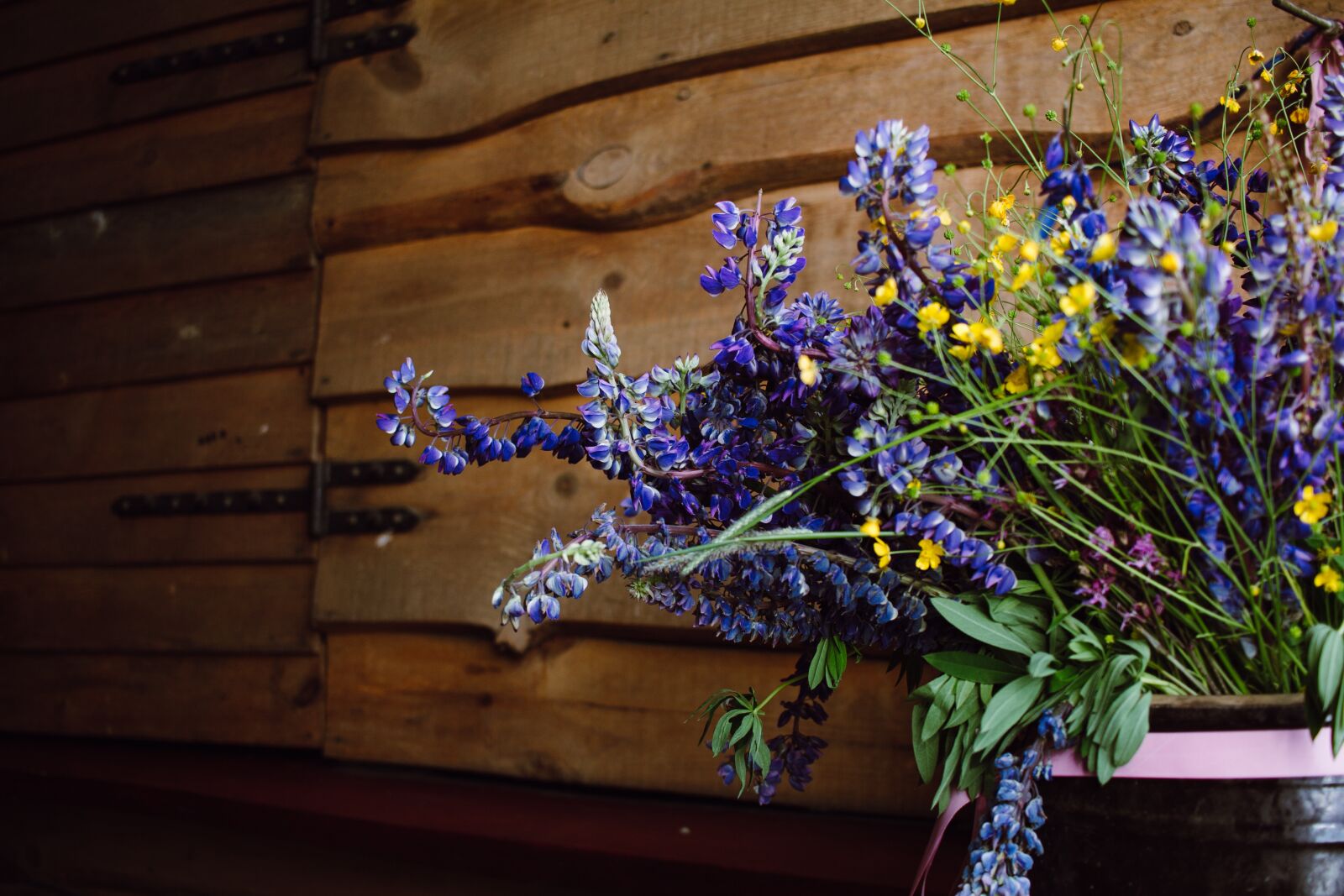 Canon EF-S 24mm F2.8 STM sample photo. Nature, beautiful, boho photography