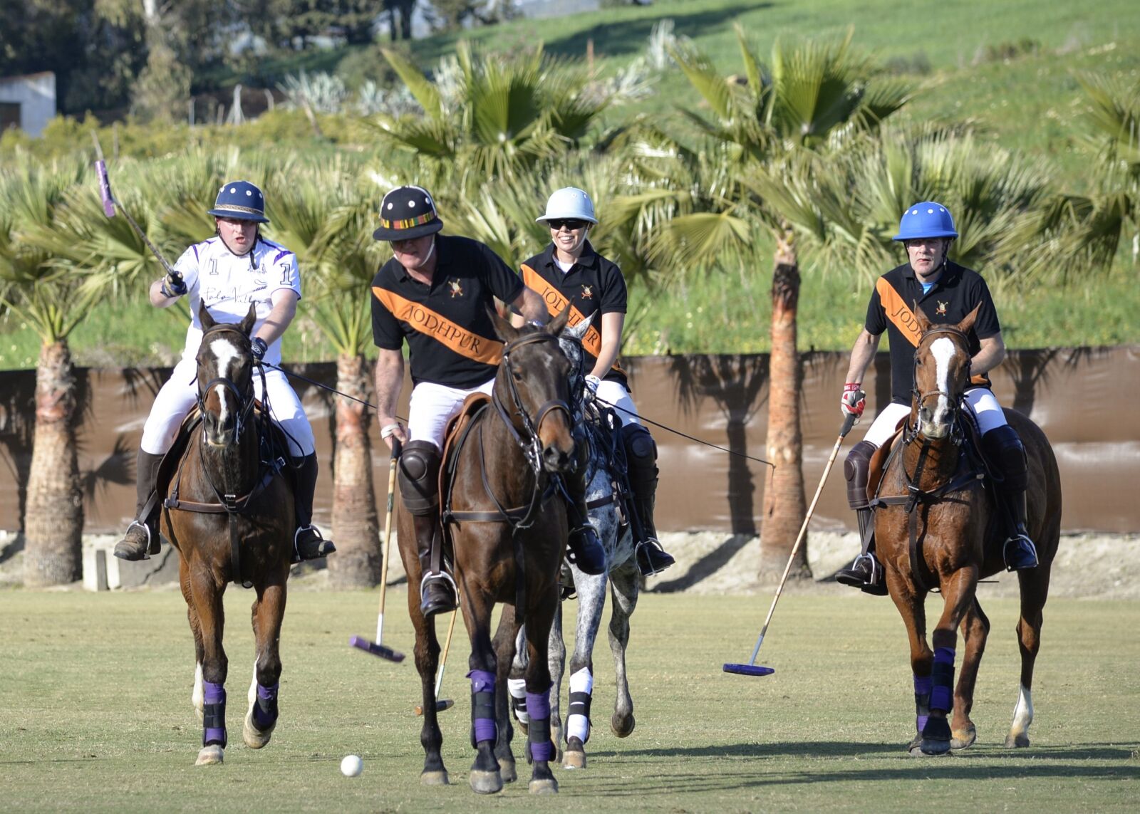 Nikon D610 sample photo. Polo, horse, field photography