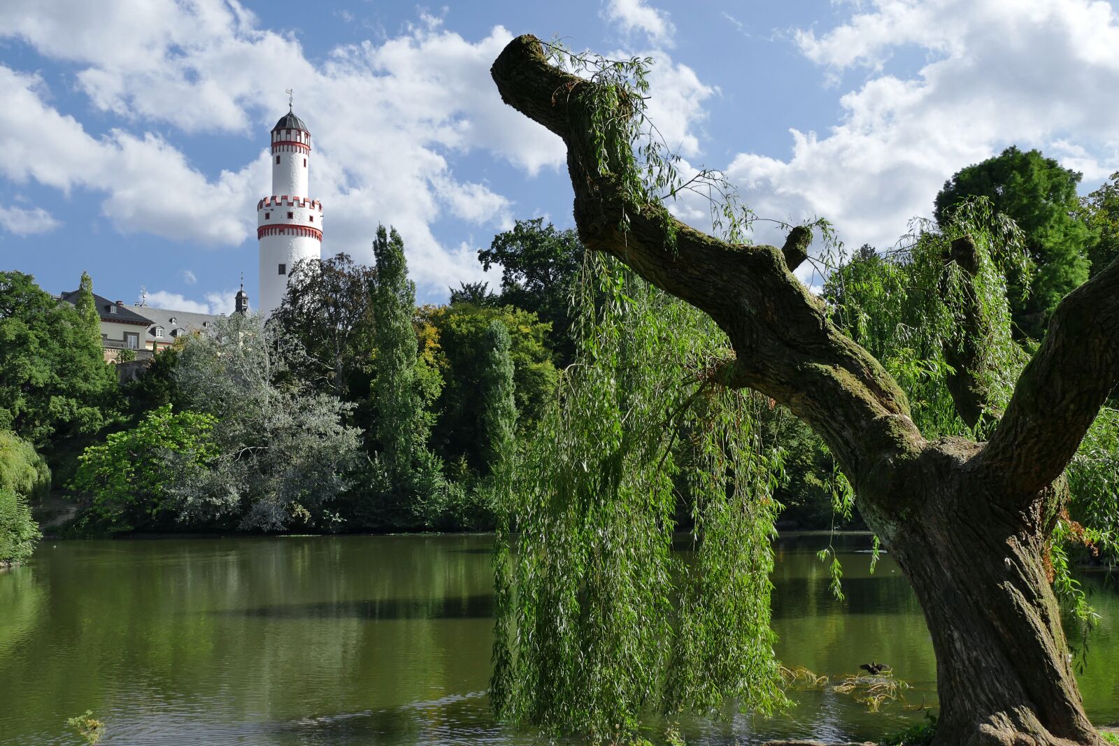 Panasonic Lumix DMC-FZ1000 sample photo. Castle park, schlossgarten, white photography