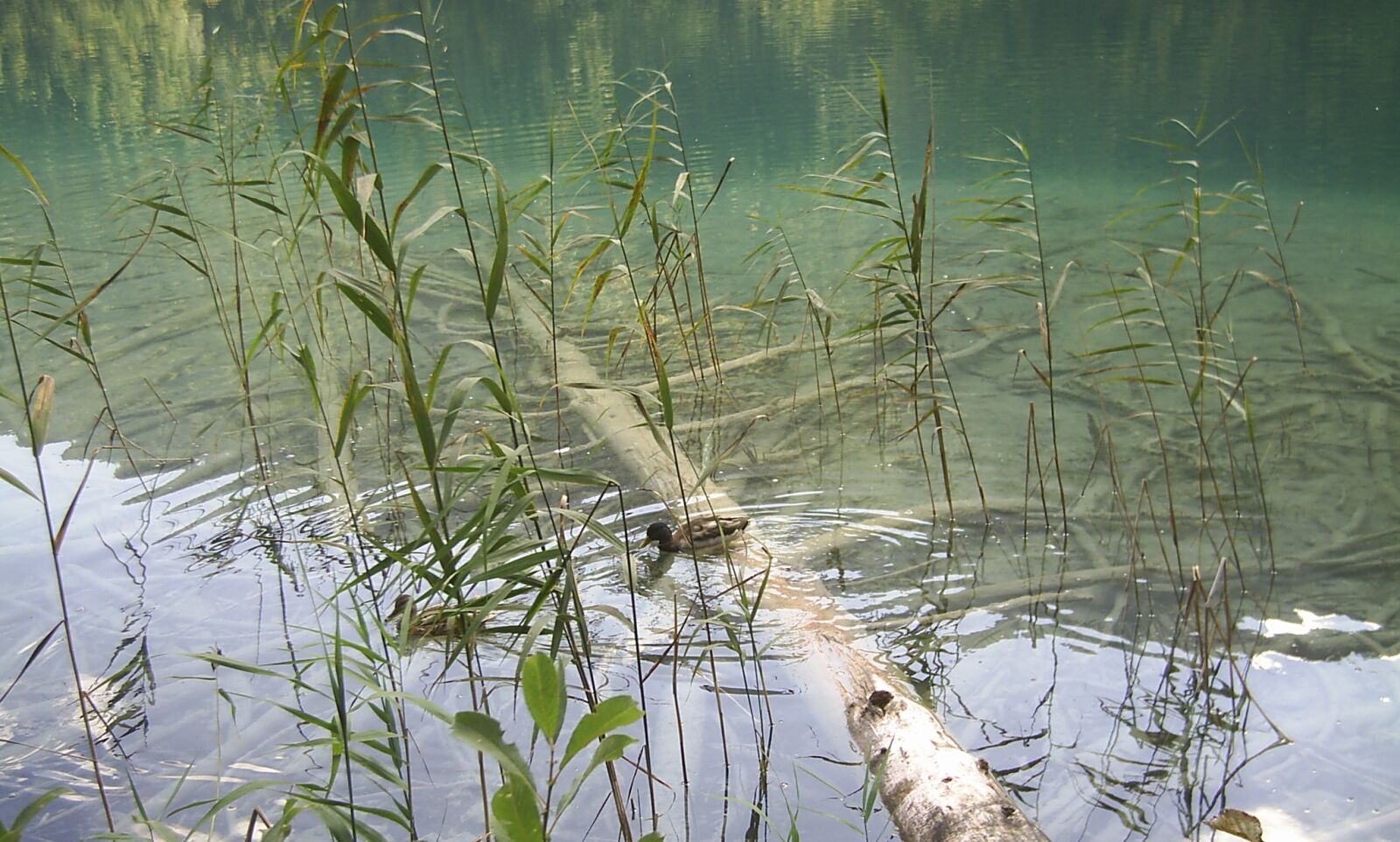 DIGITAL CAM sample photo. Water, lake, nature photography