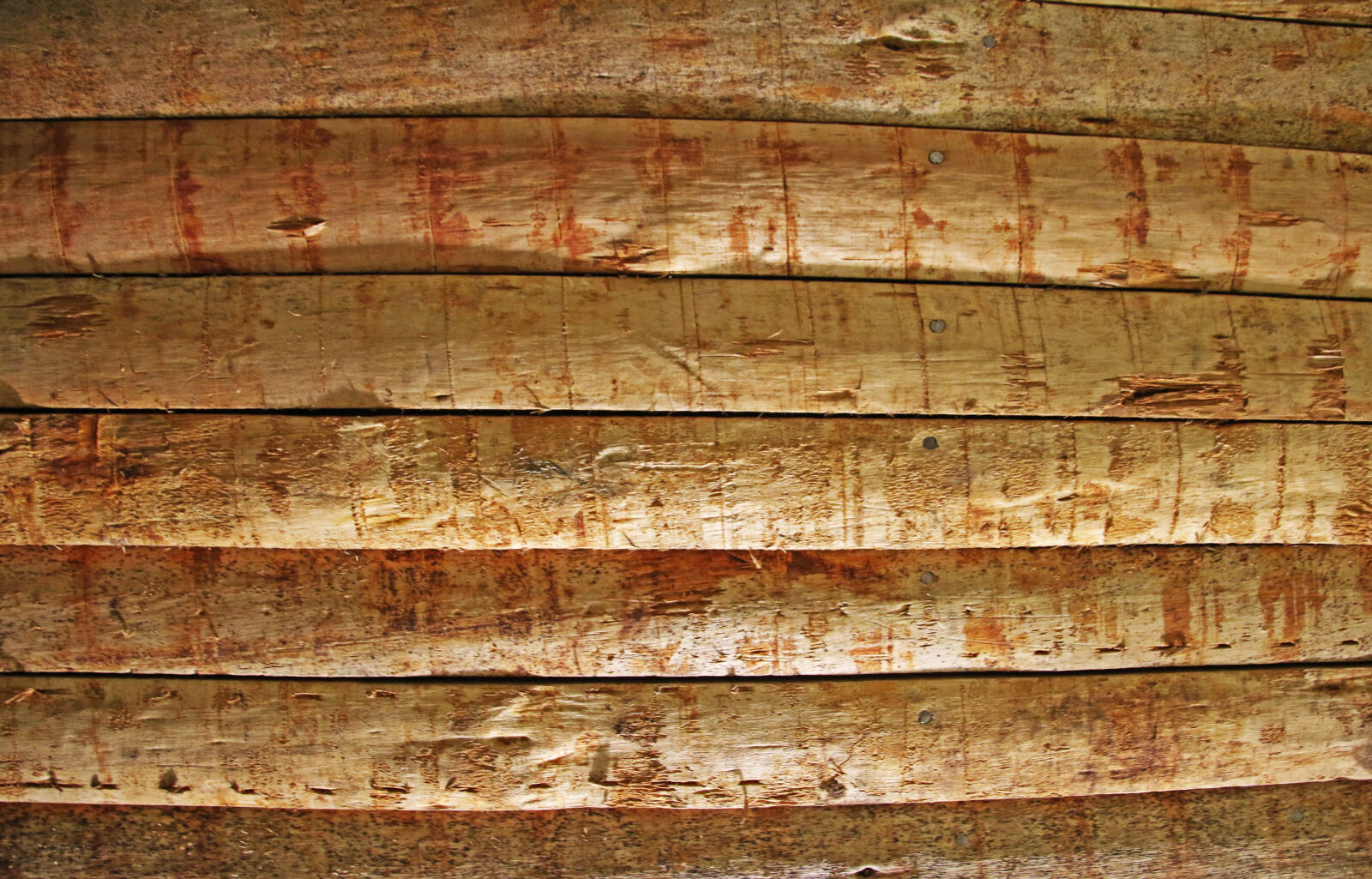 Canon EOS 7D Mark II sample photo. Background, brown, ceiling, nature photography
