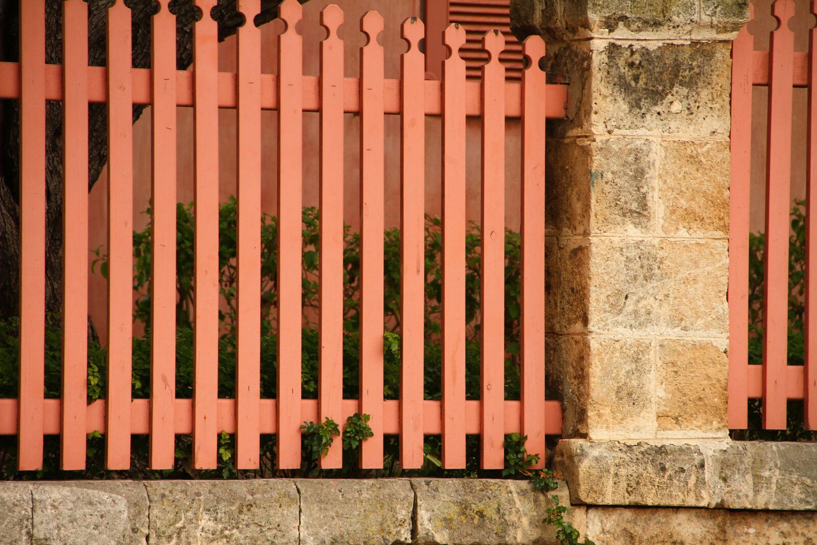 Canon EOS 7D sample photo. Fence, border, limit photography