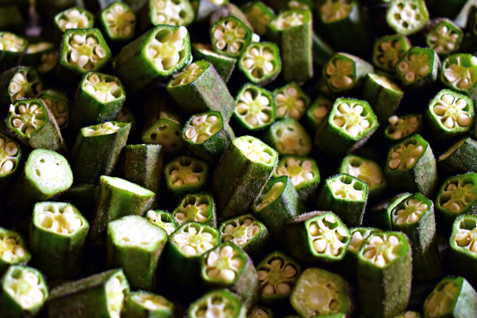 Nikon D5600 sample photo. Okra, lady finger, vegetables photography