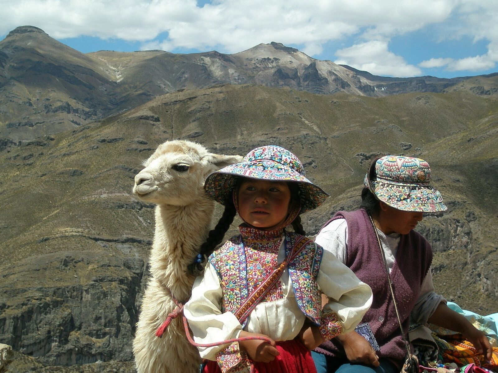 Olympus u810/S810 sample photo. Peru, aborigines, lama photography