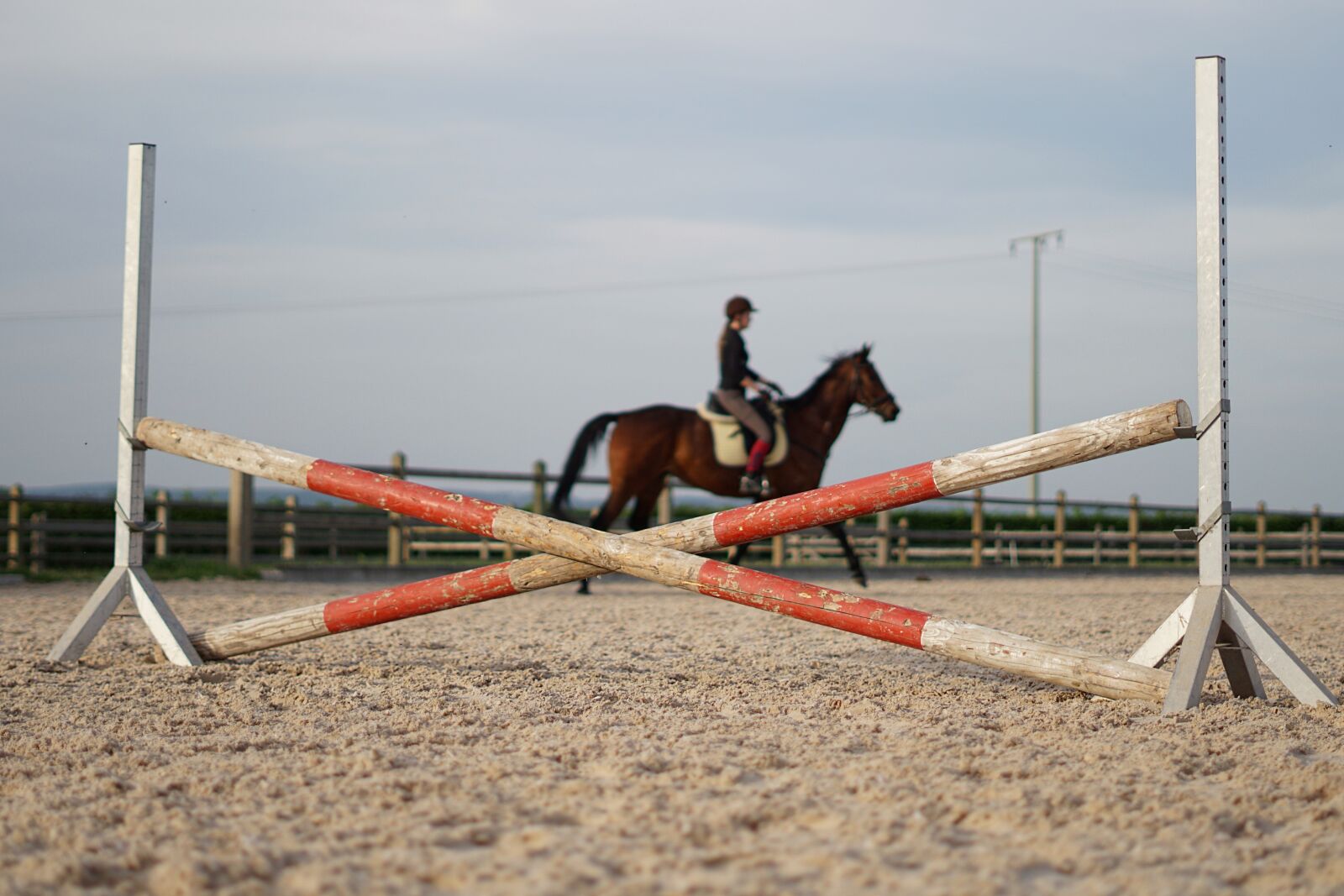 Sony a6000 sample photo. Horse, ride, reiterhof photography