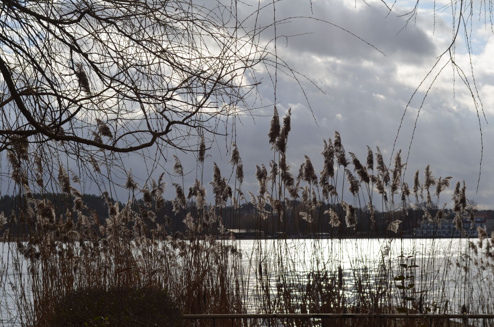 Nikon D5100 sample photo. Lake, beach, nature photography
