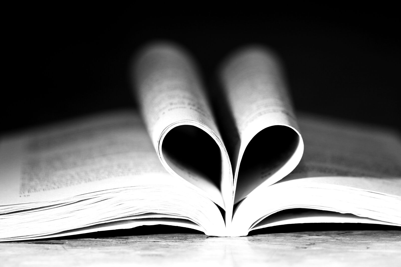 Canon EOS 7D Mark II sample photo. Book, reading, heart photography