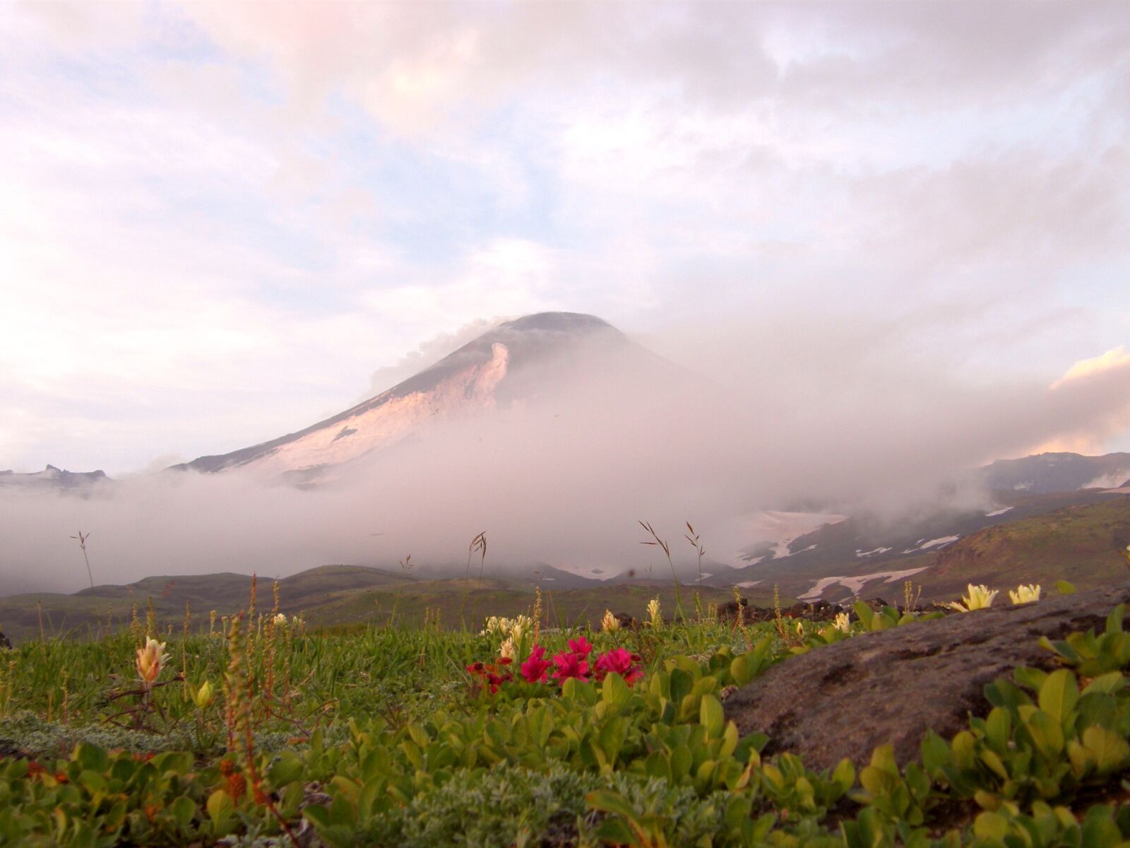 Olympus SP550UZ sample photo. Volcano, the foot, flowers photography