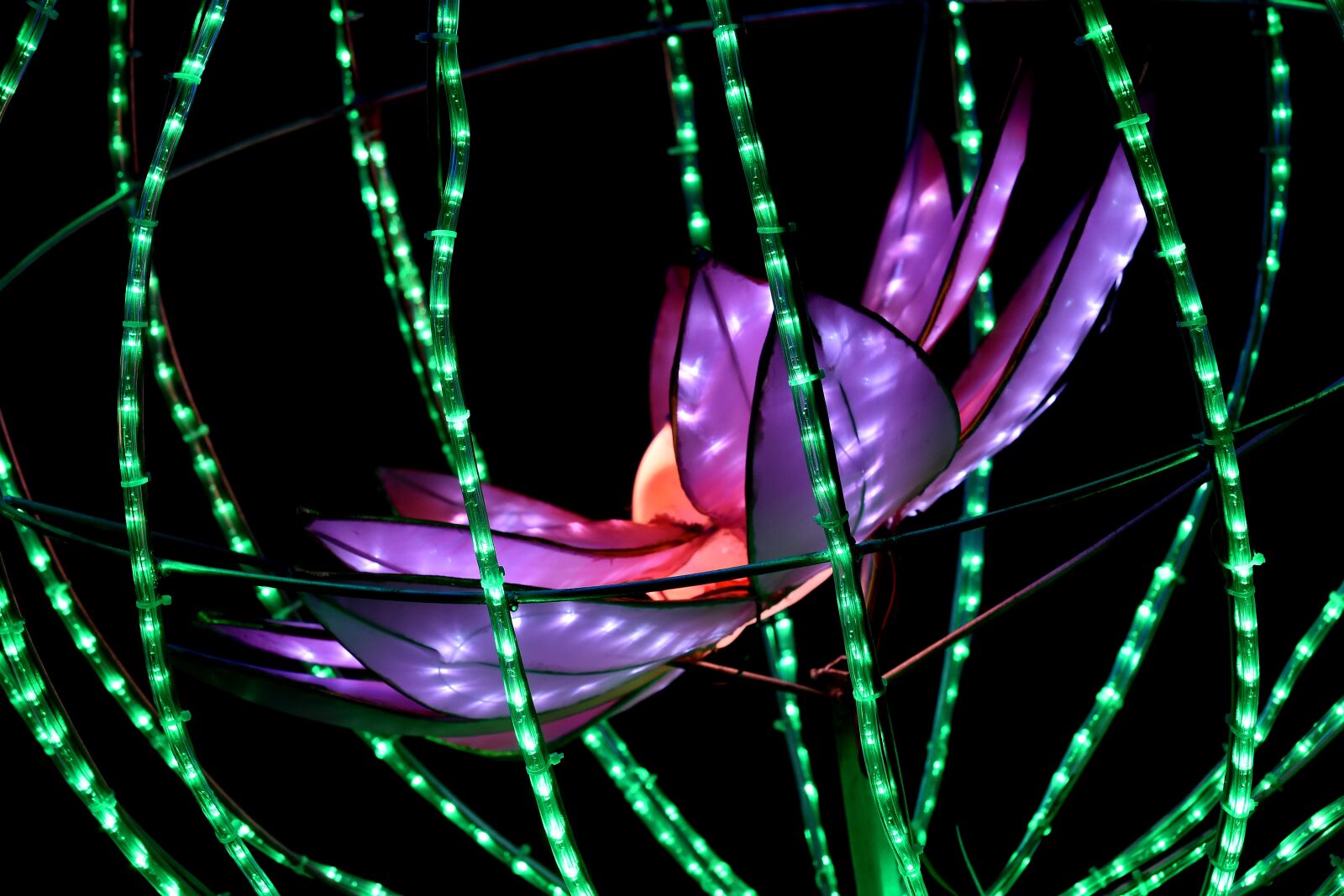 Nikon D5500 sample photo. Artwork, electricity, fantasy, handmade photography