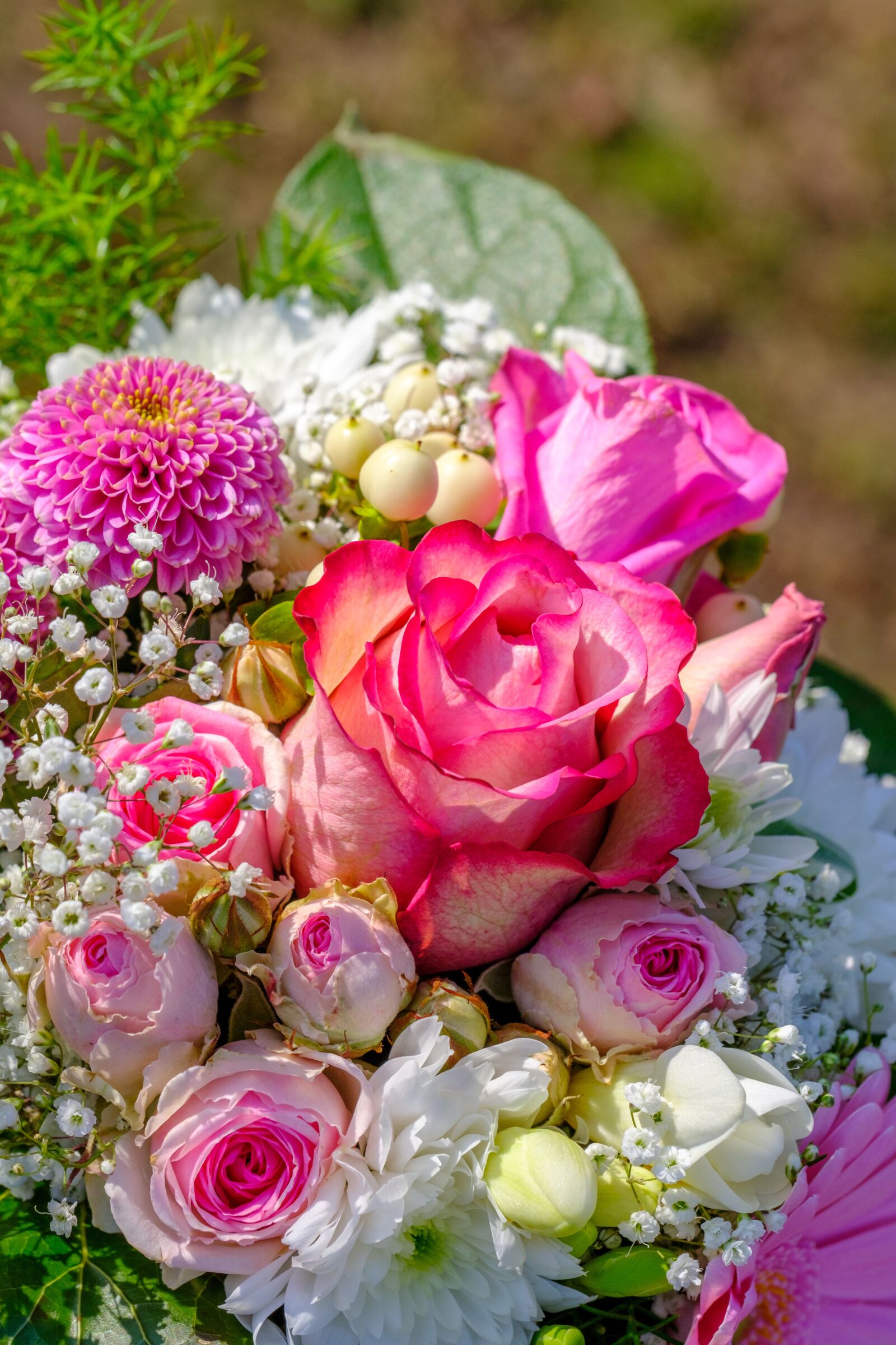 Fujifilm X-T2 + Fujifilm XF 80mm F2.8 R LM OIS WR Macro sample photo. Rose, bouquet of roses photography