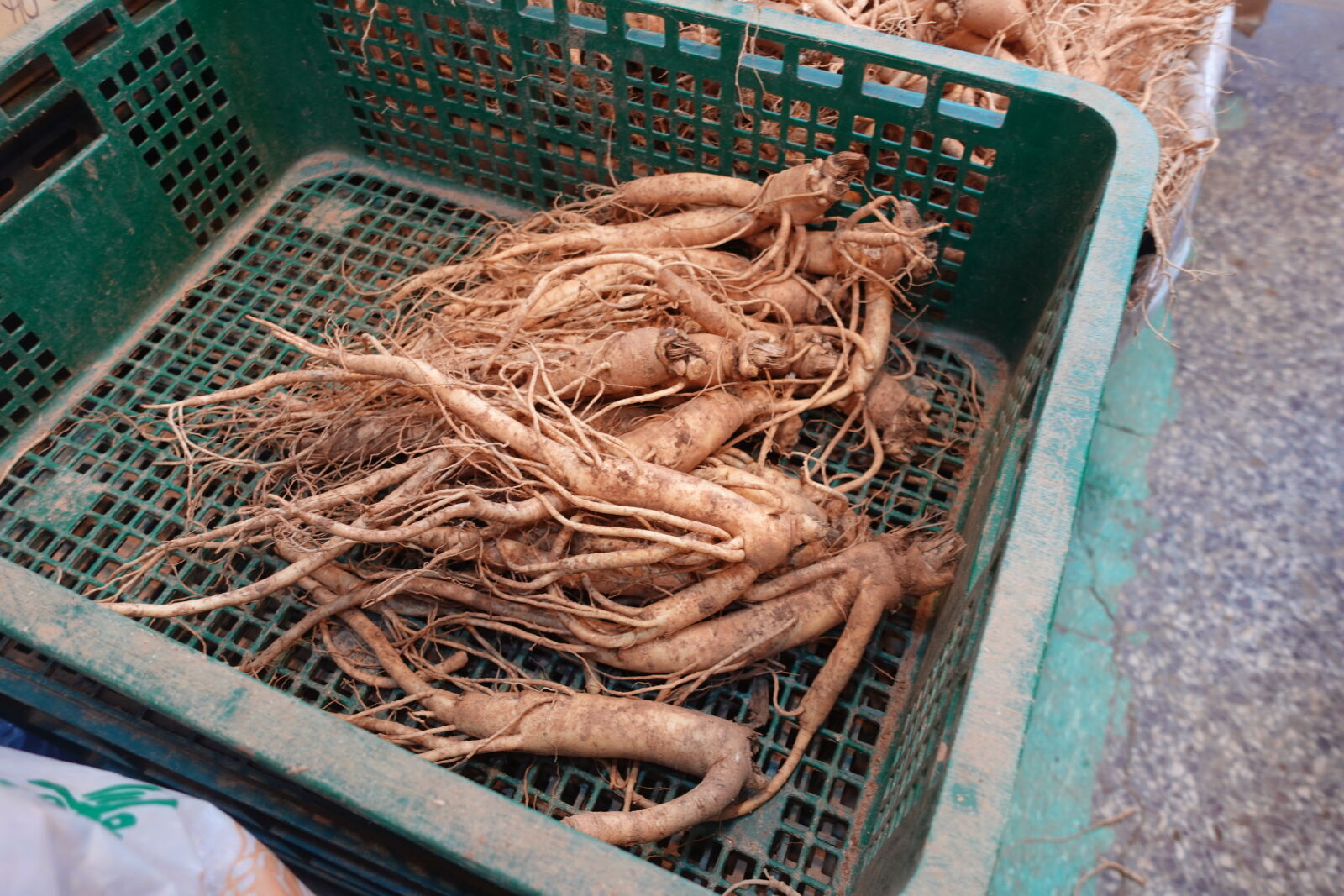 Sony ZV-1 sample photo