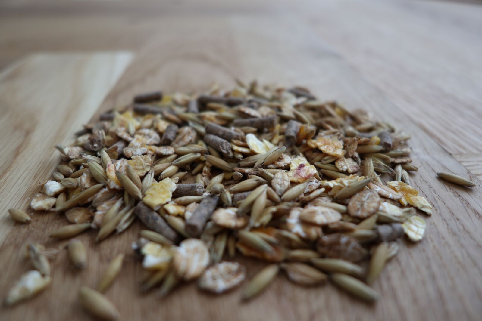 Canon PowerShot G1 X Mark III sample photo. Fodder, wood, eating photography