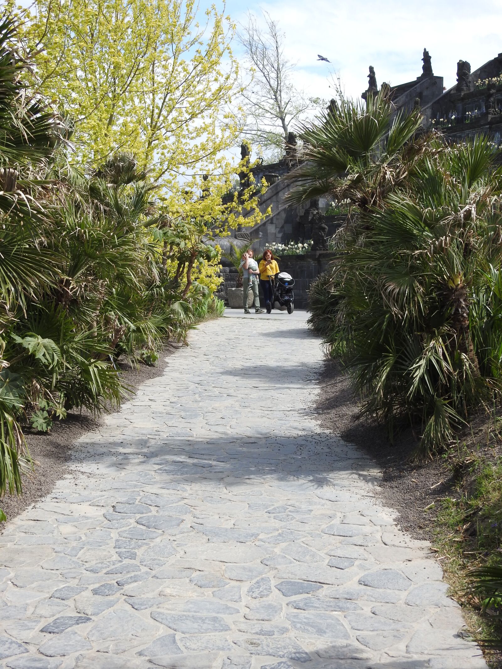 Nikon Coolpix P900 sample photo. Path, tree, nature photography