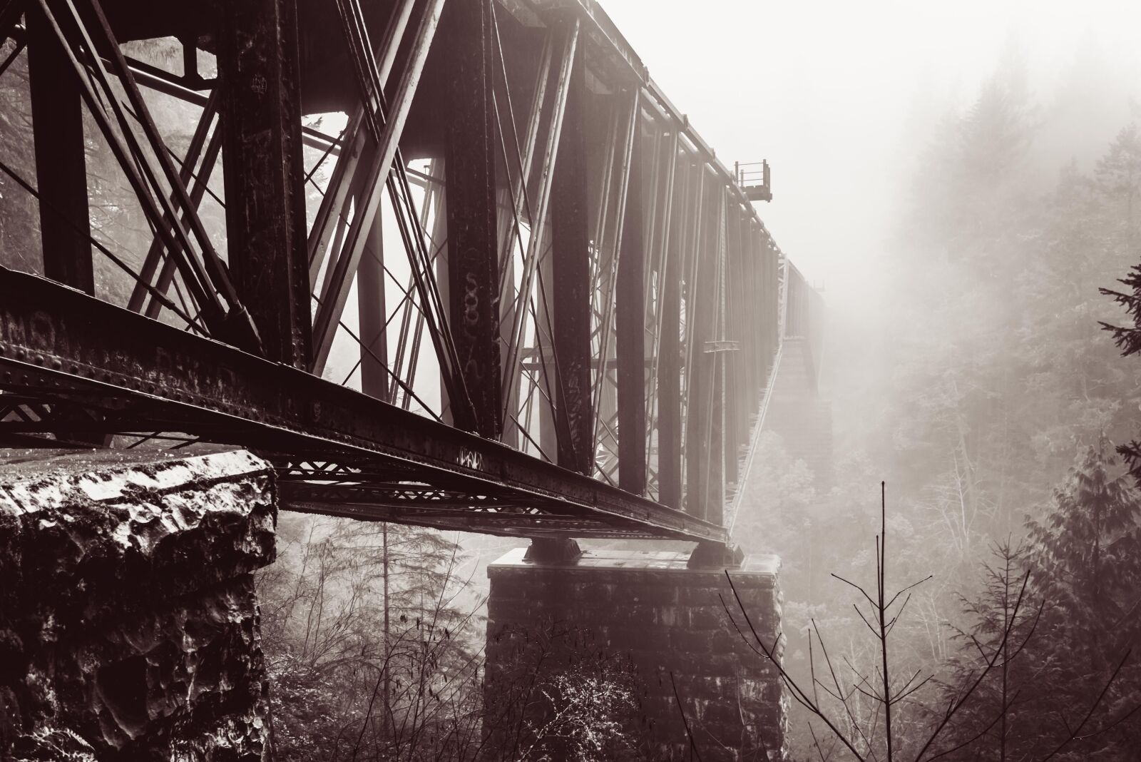 Nikon D750 sample photo. Metal, bridge, architecture photography