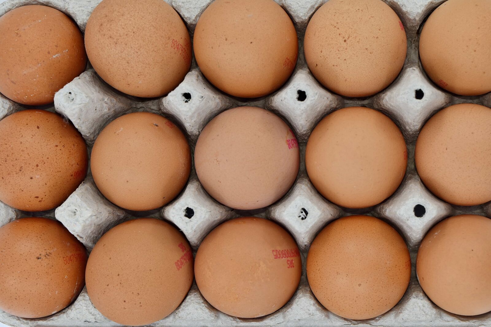 Nikon D5500 sample photo. Aerial, egg, egg box photography