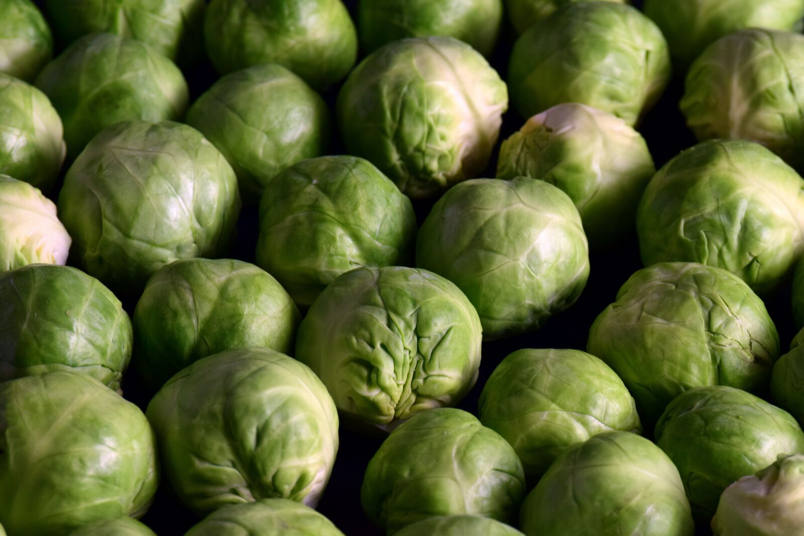 Nikon D3300 sample photo. Brussels sprouts, vegetables, green photography