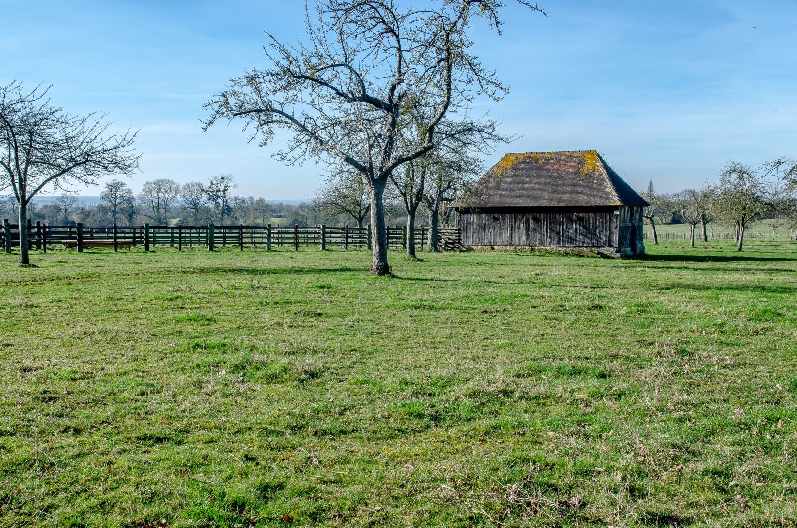 Nikon D7000 sample photo. Landscape, normandy, france photography