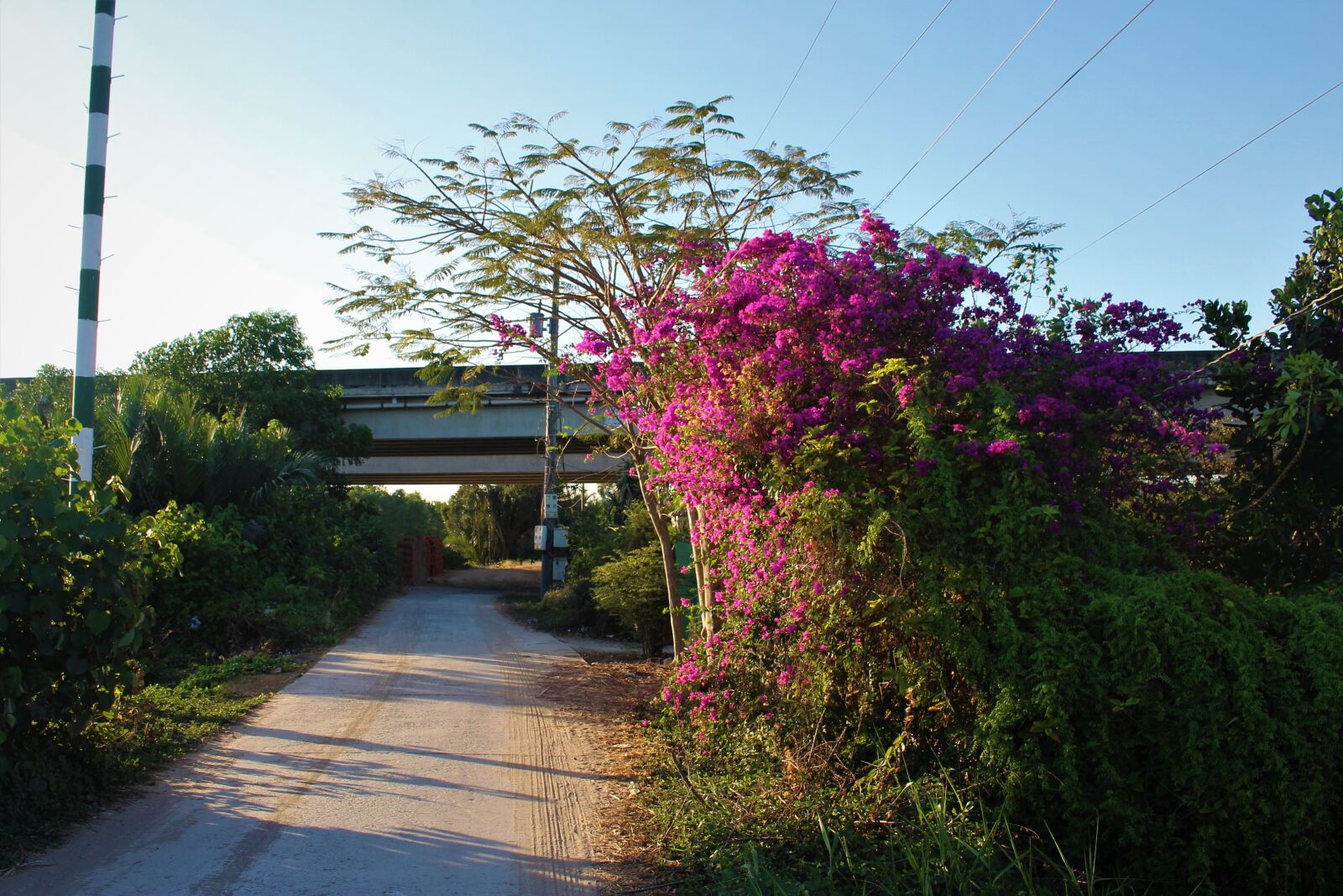 Canon EOS 700D (EOS Rebel T5i / EOS Kiss X7i) sample photo. Hometown, sunset, vietnam photography