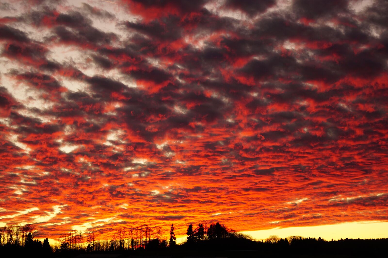 Sony E 55-210mm F4.5-6.3 OSS sample photo. Sunset, clouds, abendstimmung photography