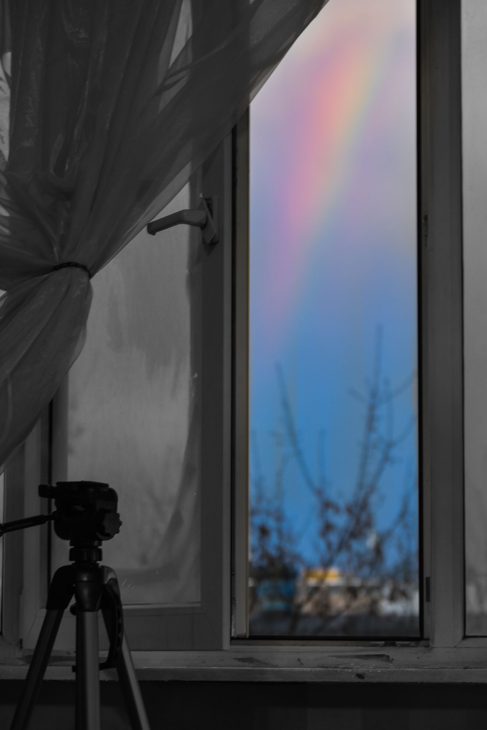 Nikon D3400 sample photo. To emerge, window, outdoors photography