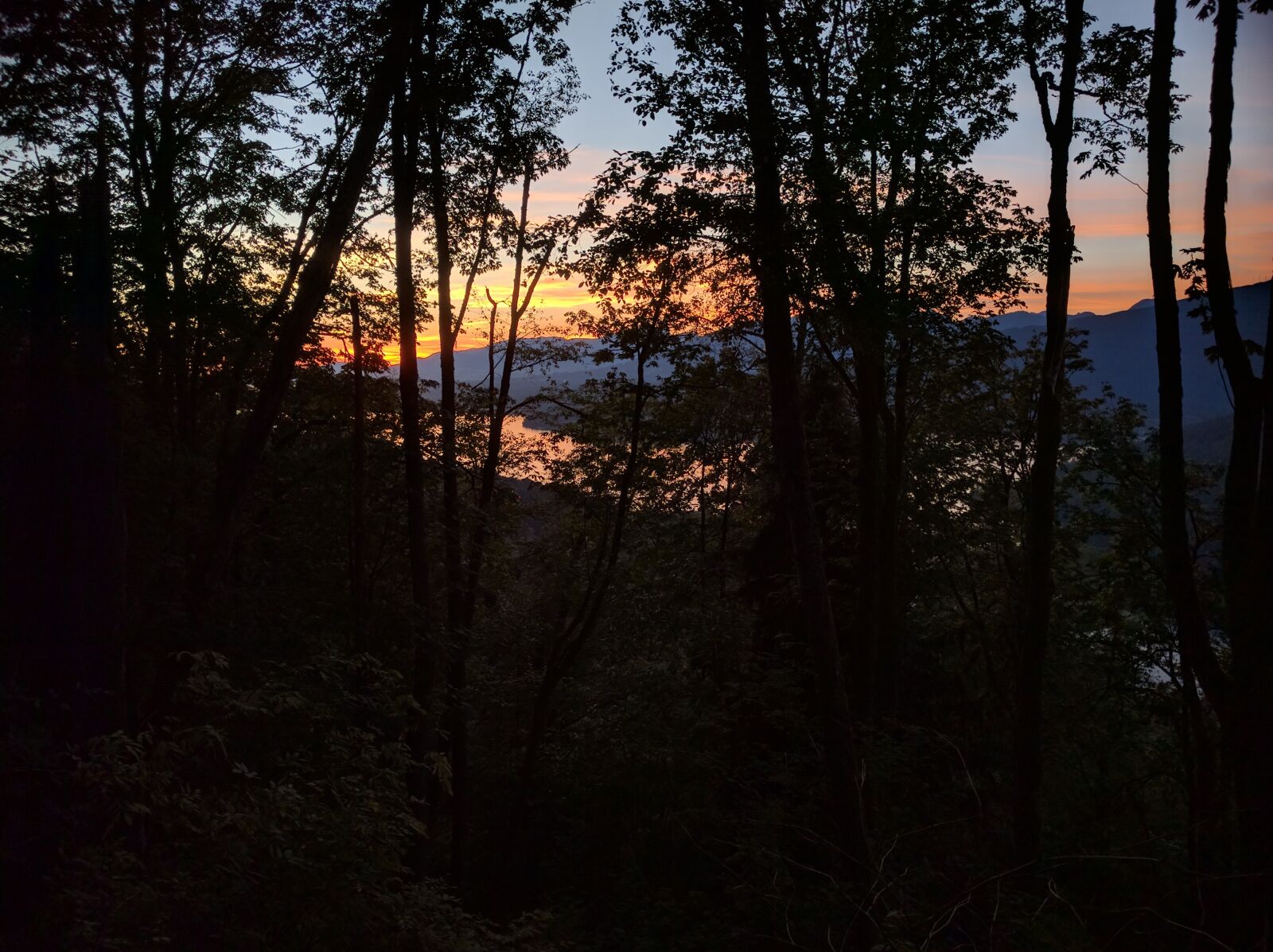 Google Nexus 6P sample photo. Burnaby mountain, burnaby, british photography