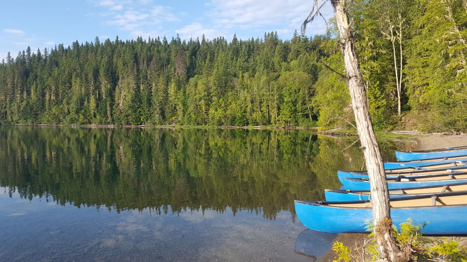 Samsung Galaxy S6 sample photo. Canada, canoe, river photography