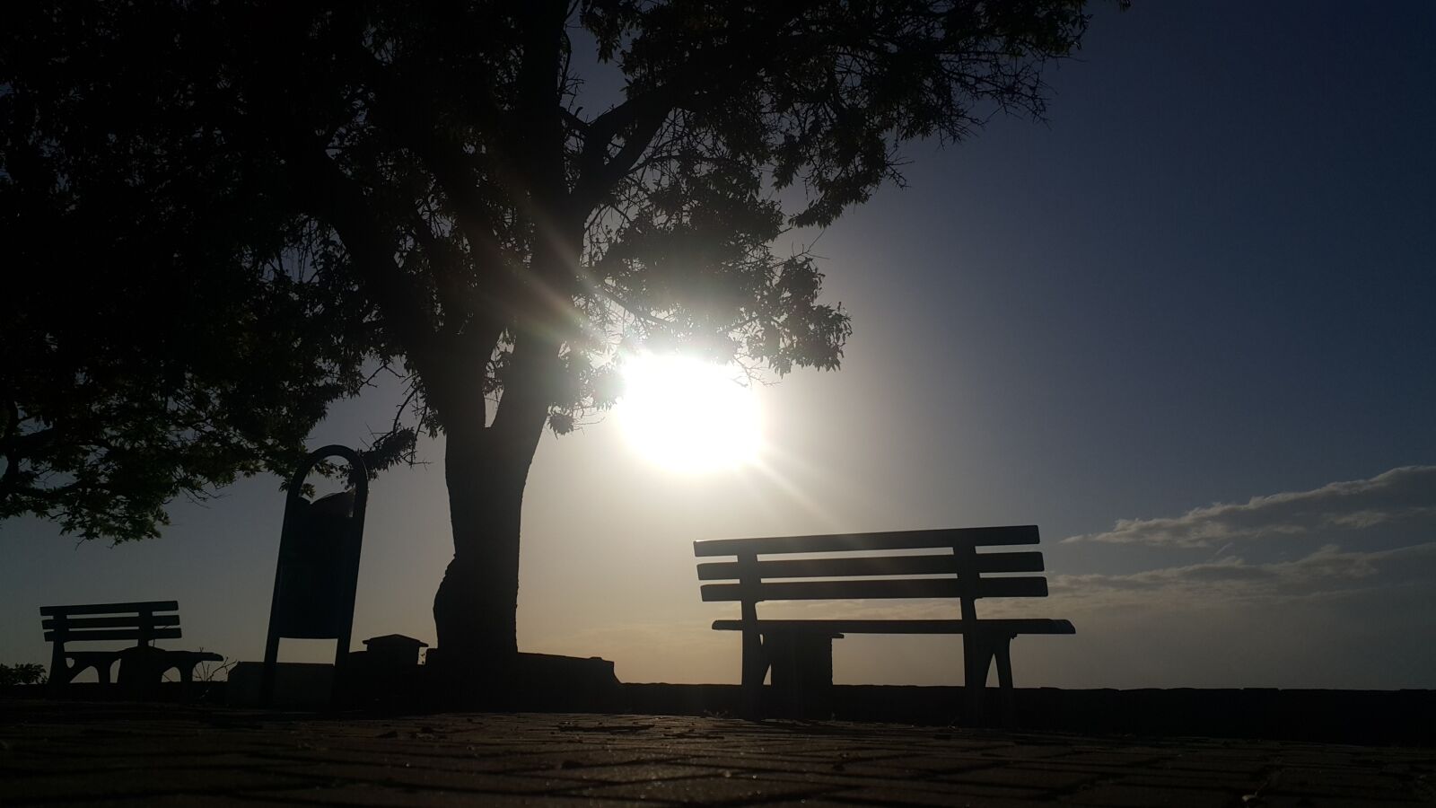 Samsung Galaxy Note4 sample photo. Sunset, tree, solar photography
