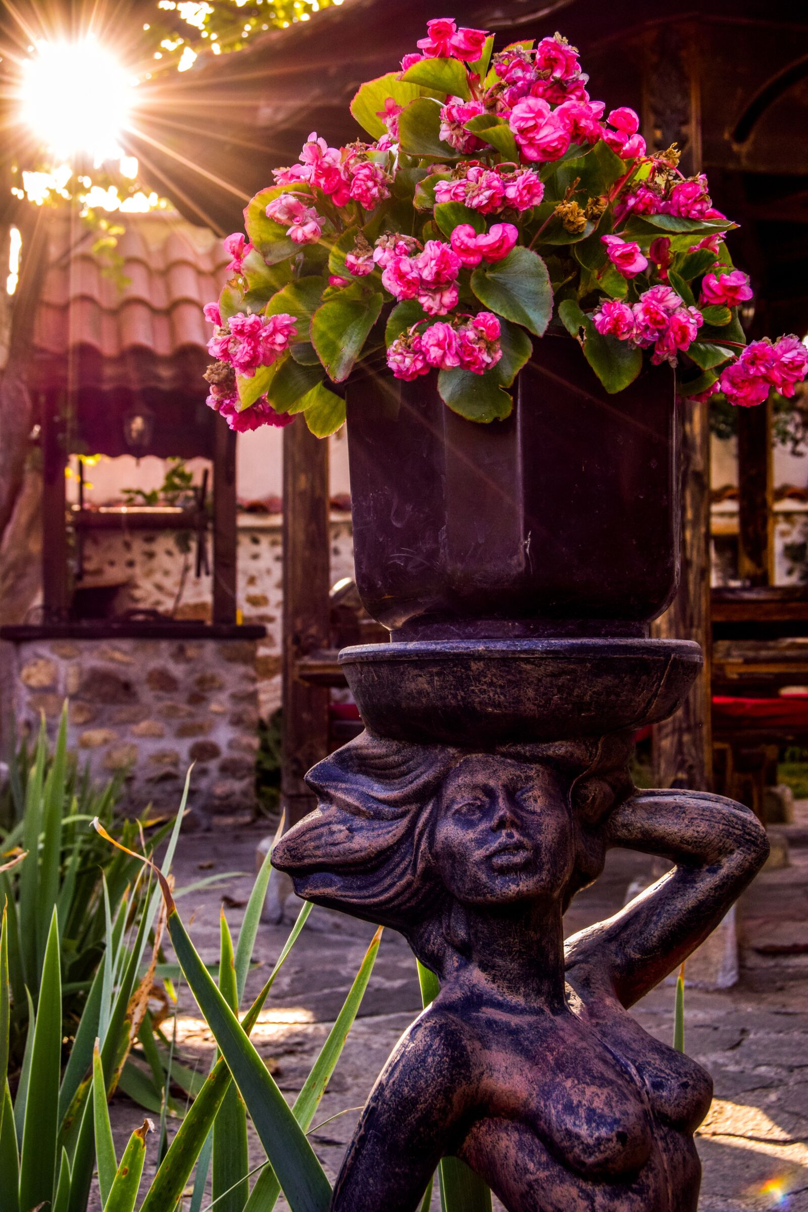 Nikon D3300 sample photo. Sun, flowers, statue photography