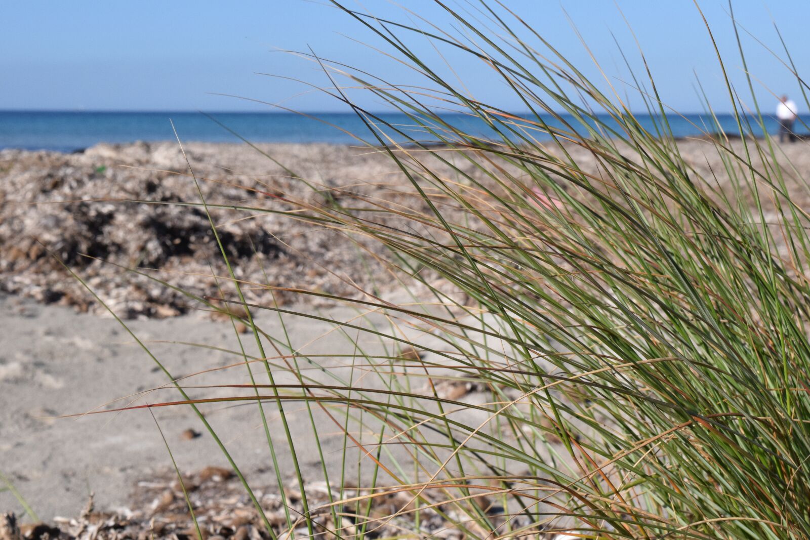 Nikon D3300 sample photo. Beach, sea, coast photography