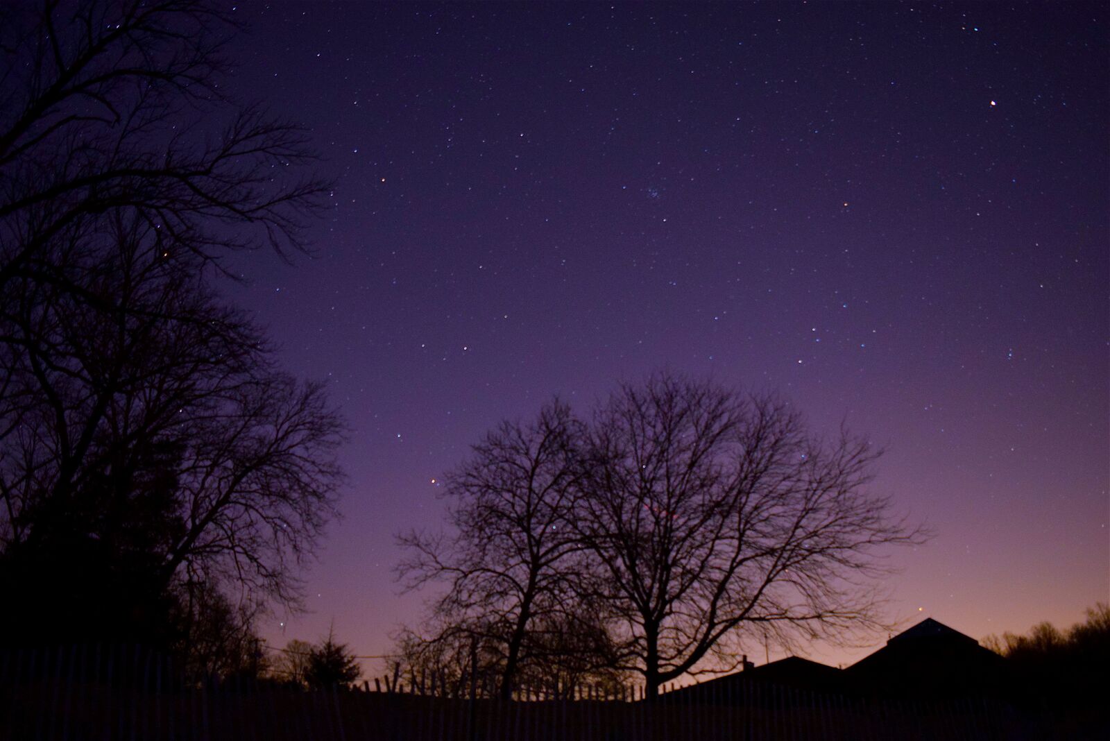 Nikon D3300 sample photo. Stars, tree, silhouette photography