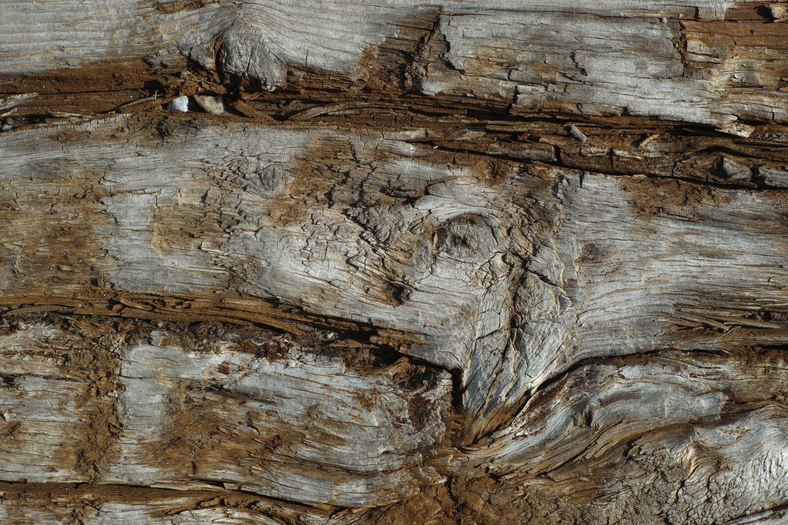 Sigma DP3 Merrill sample photo. Wood, texture, pattern photography