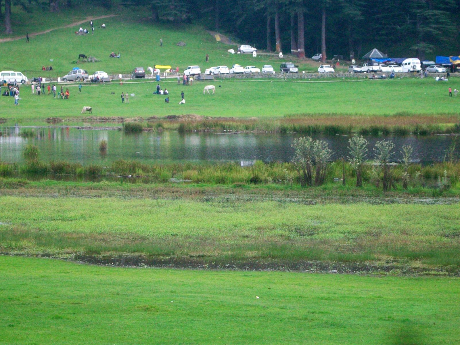 Kodak EASYSHARE M1063 DIGITAL CAMERA sample photo. Nature, beauty, peace photography