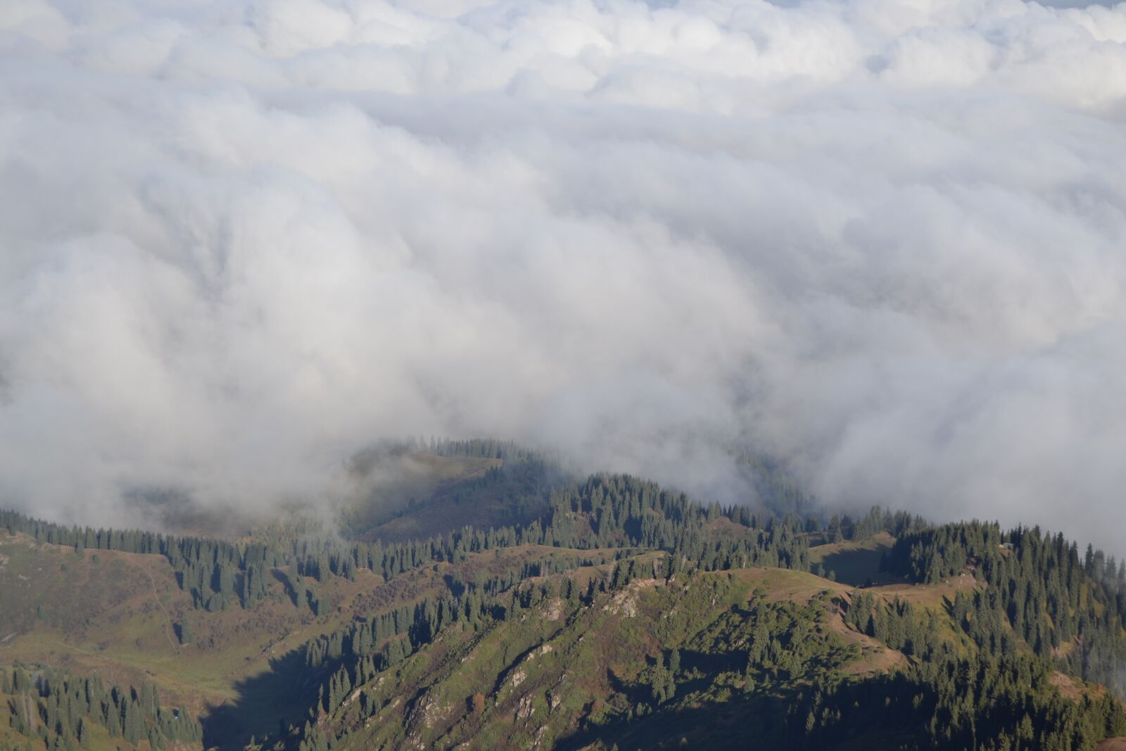 Nikon D3100 sample photo. Kazakhstan, trips, mountains photography
