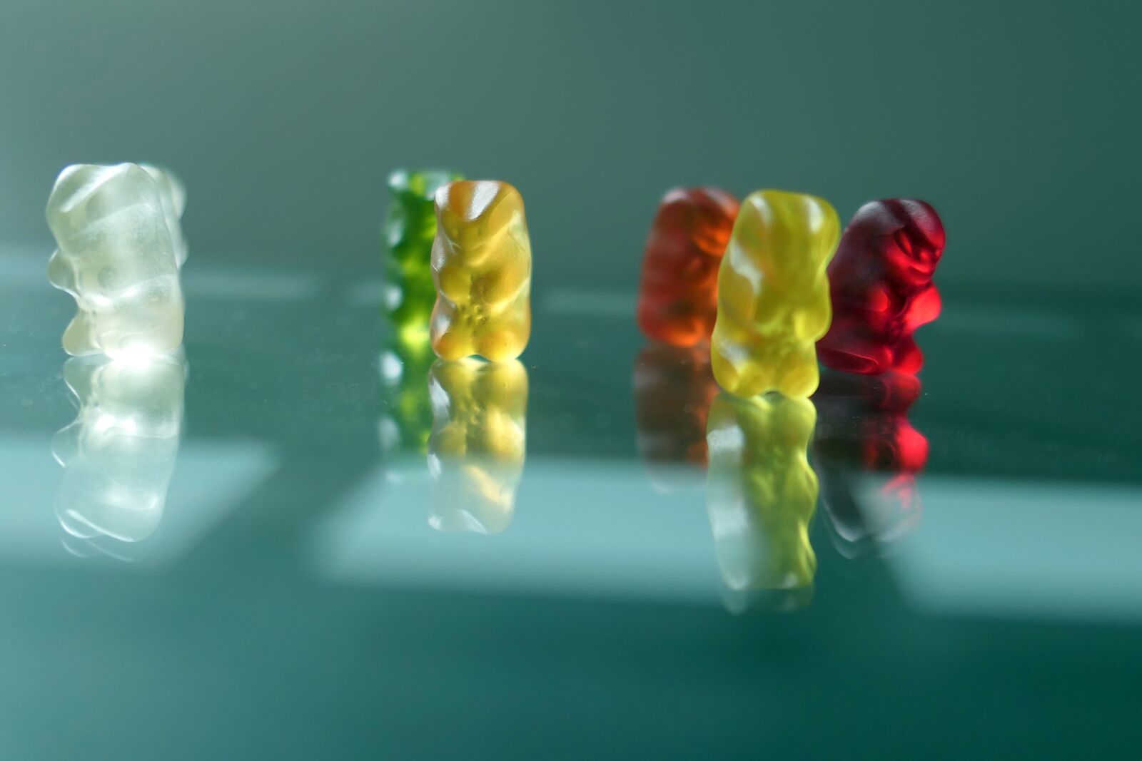 Panasonic Lumix DMC-LX10 (Lumix DMC-LX15) sample photo. Bears, colorful, eat photography