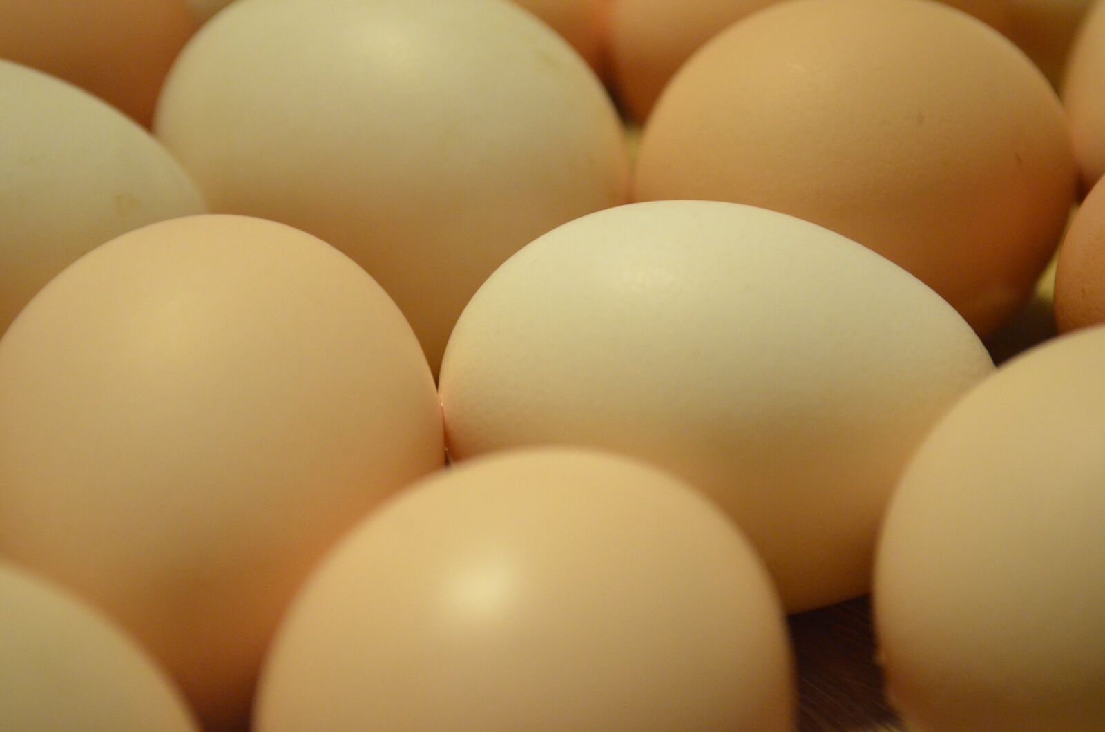 Nikon D5100 sample photo. Eggs, easter, nature photography
