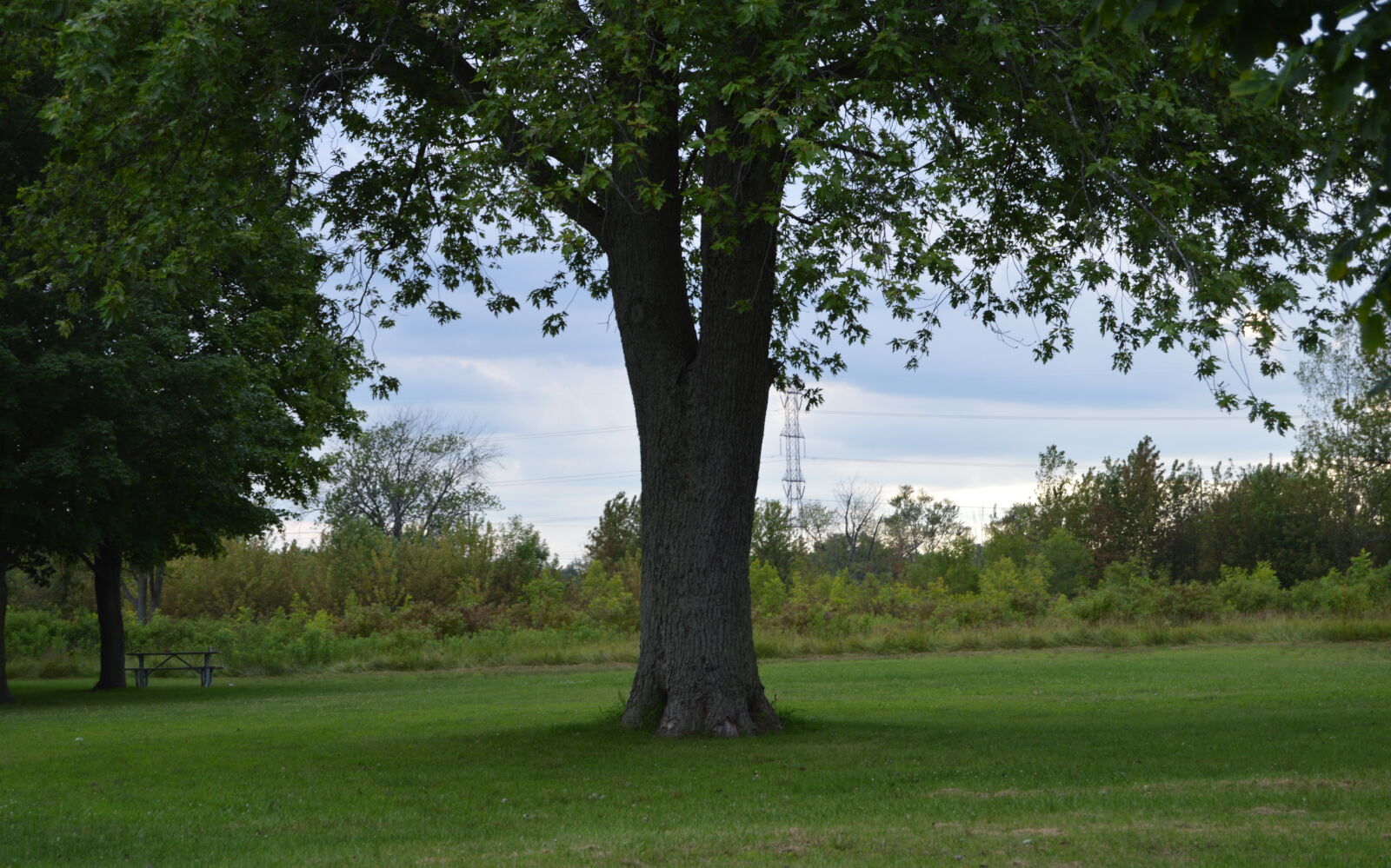 Nikon D3200 sample photo