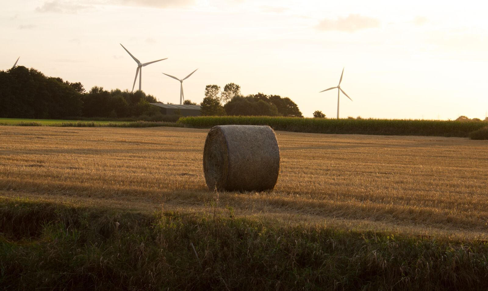 Canon EOS 600D (Rebel EOS T3i / EOS Kiss X5) sample photo. Autumn, harvest, straw photography