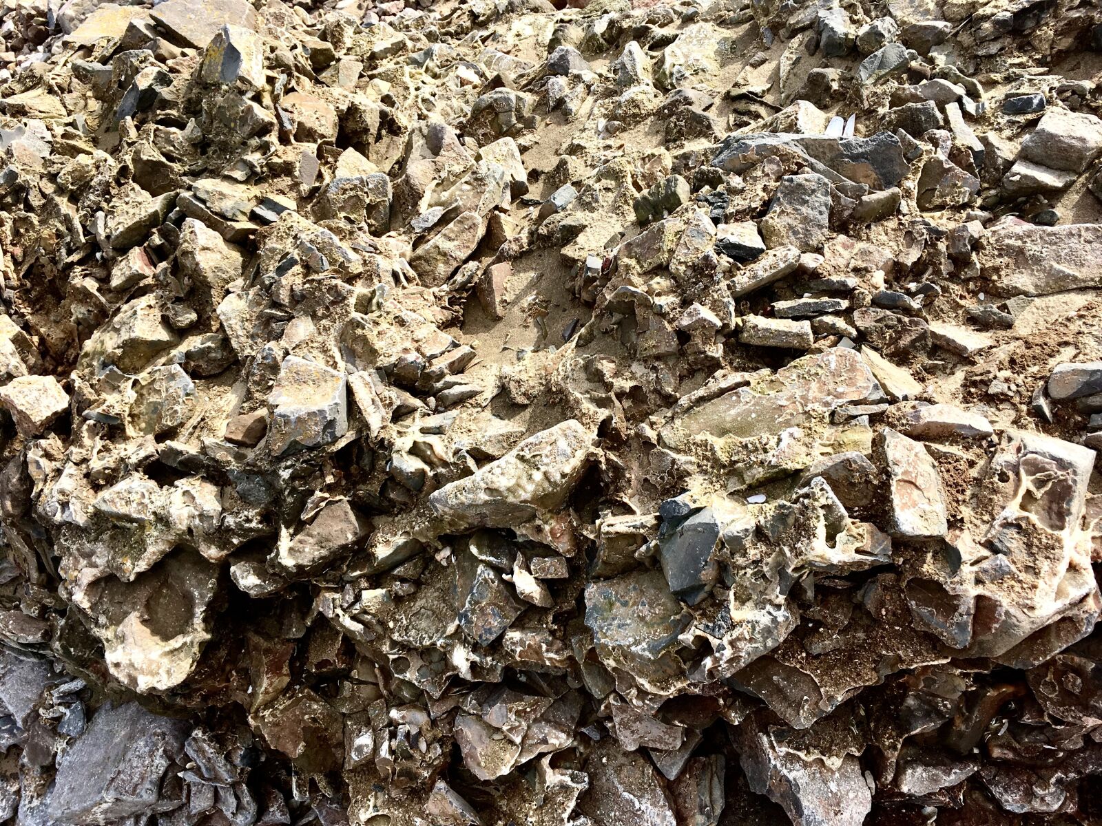 iPhone SE back camera 4.15mm f/2.2 sample photo. Rocks, seafront, coast photography