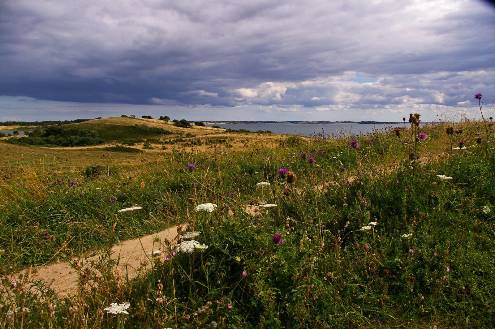 Pentax *ist DL2 sample photo. Denmark, danish coast, island photography