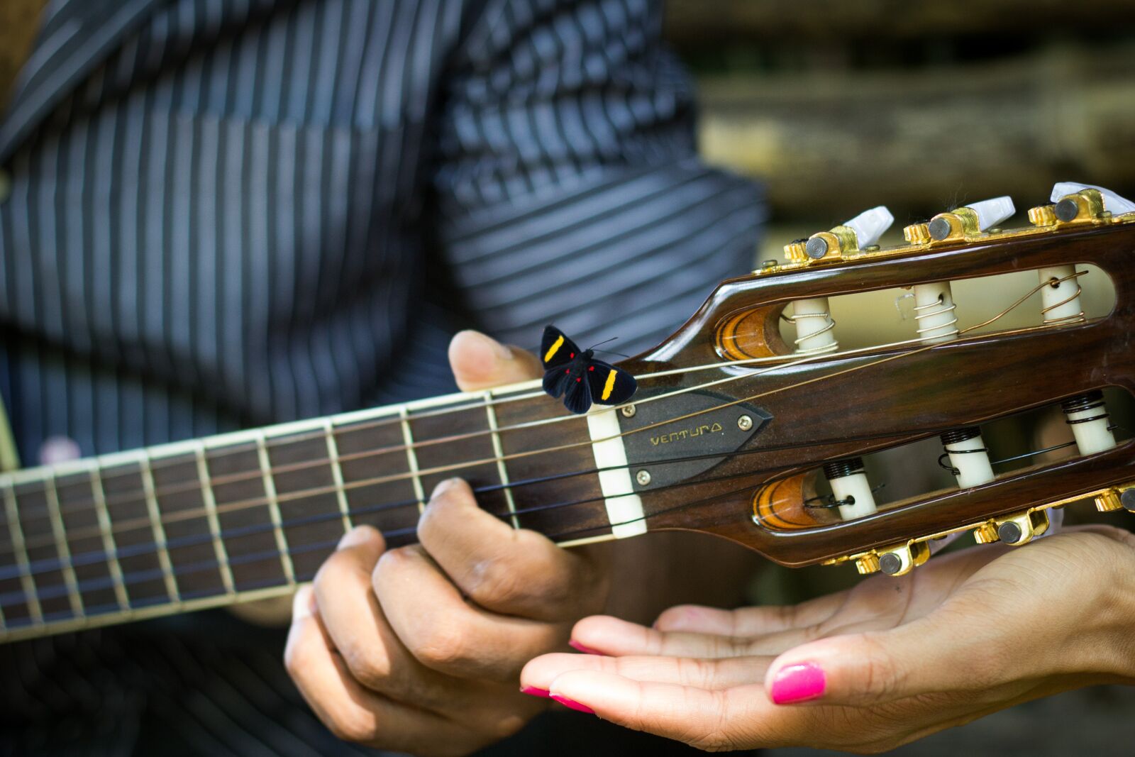Canon EOS 60D + Canon EF 50mm F1.8 II sample photo. Butterfly, guitar, casal photography