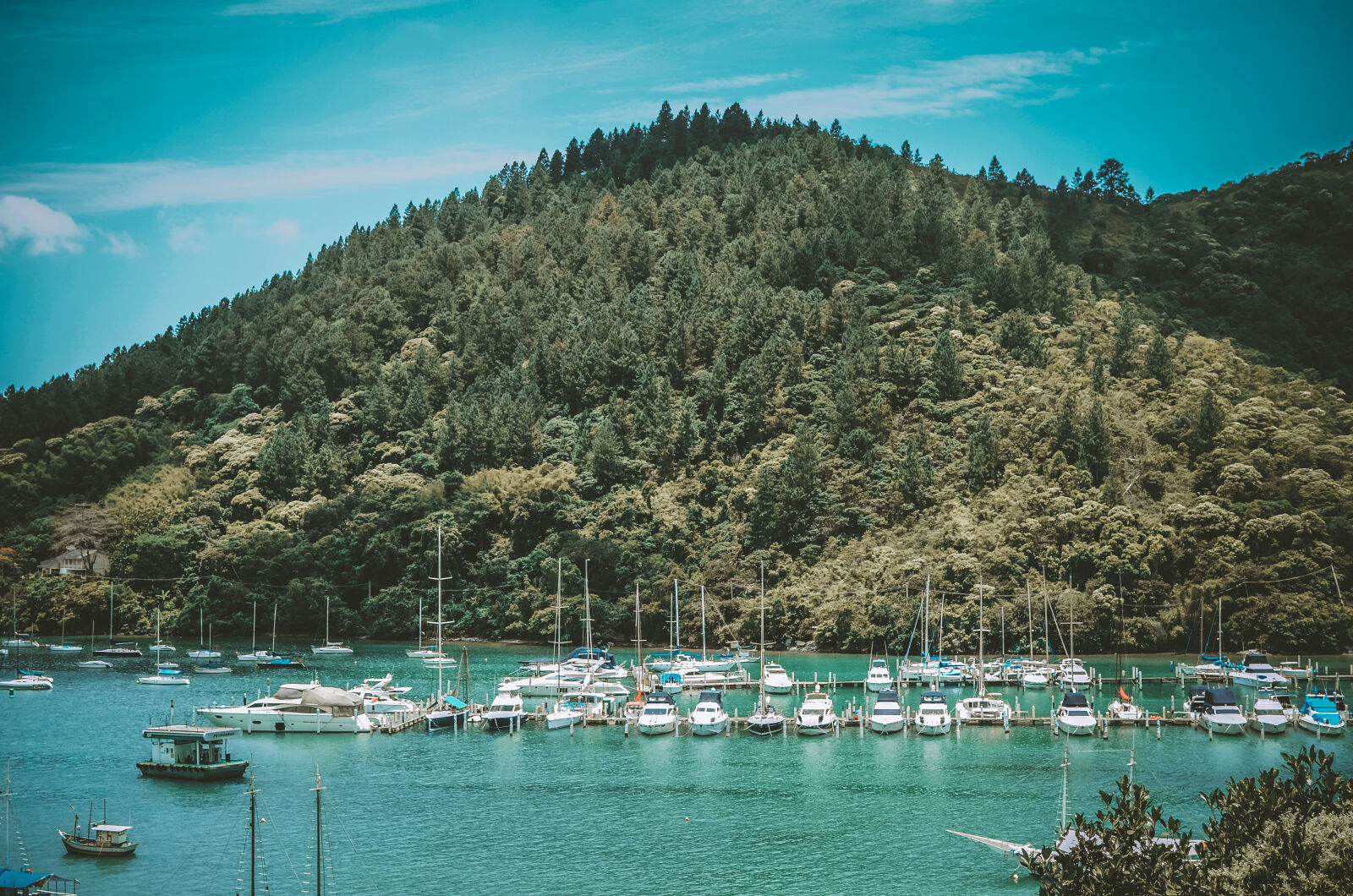 Nikon D5100 sample photo. Beach photography