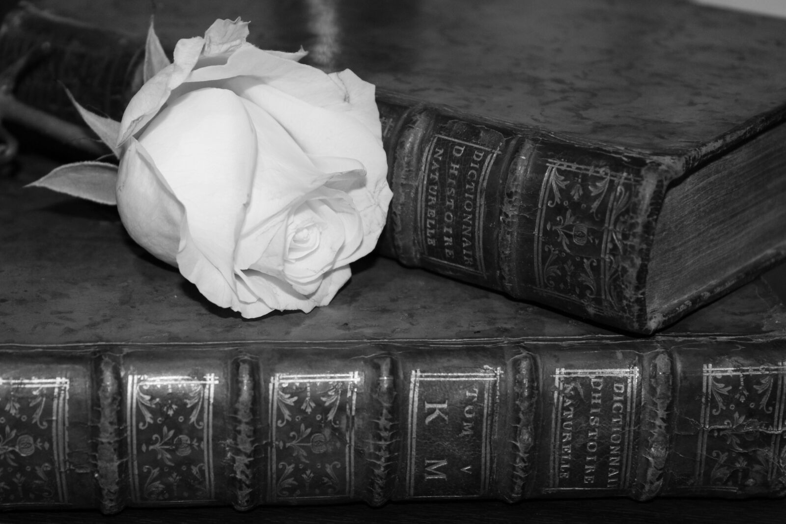 Canon EOS 1200D (EOS Rebel T5 / EOS Kiss X70 / EOS Hi) sample photo. Book, libro, romantic photography