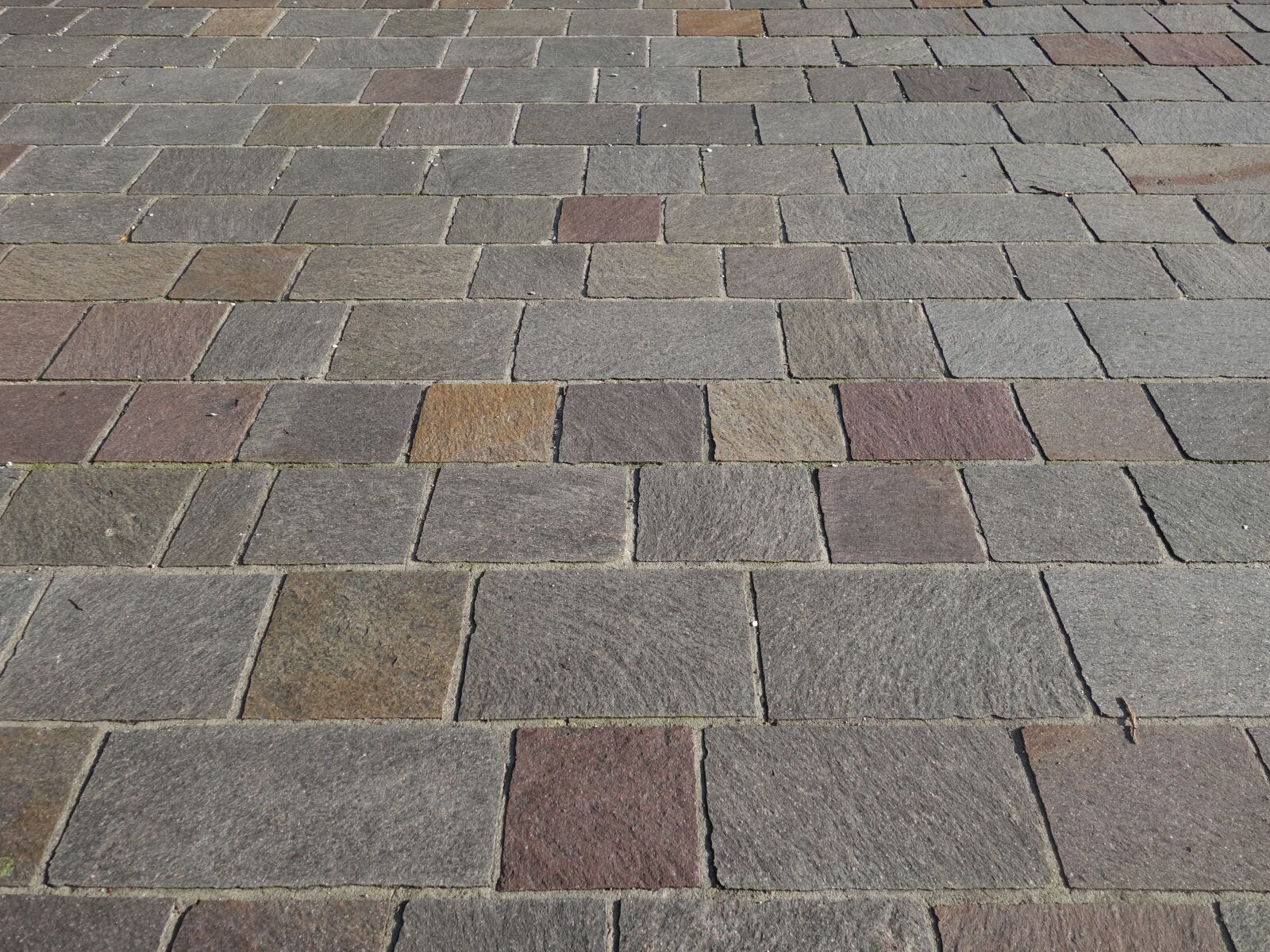 Sony Cyber-shot DSC-RX100 II sample photo. Patch, paving stones, background photography