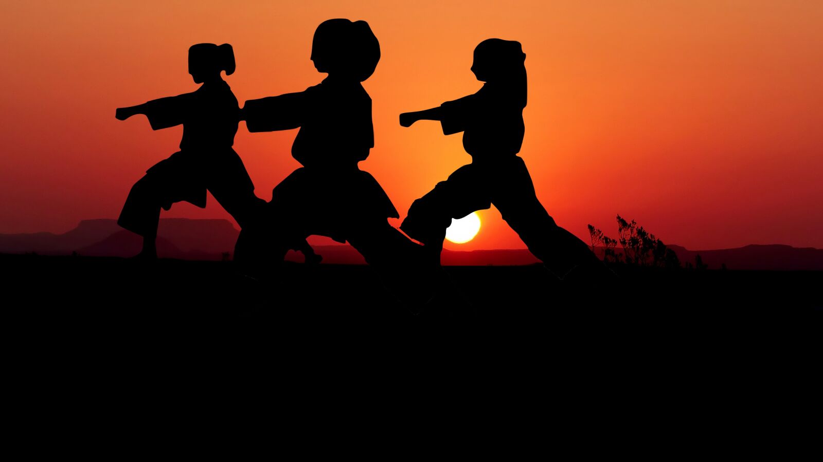 Panasonic Lumix DMC-FZ200 sample photo. Karate, kata, team photography
