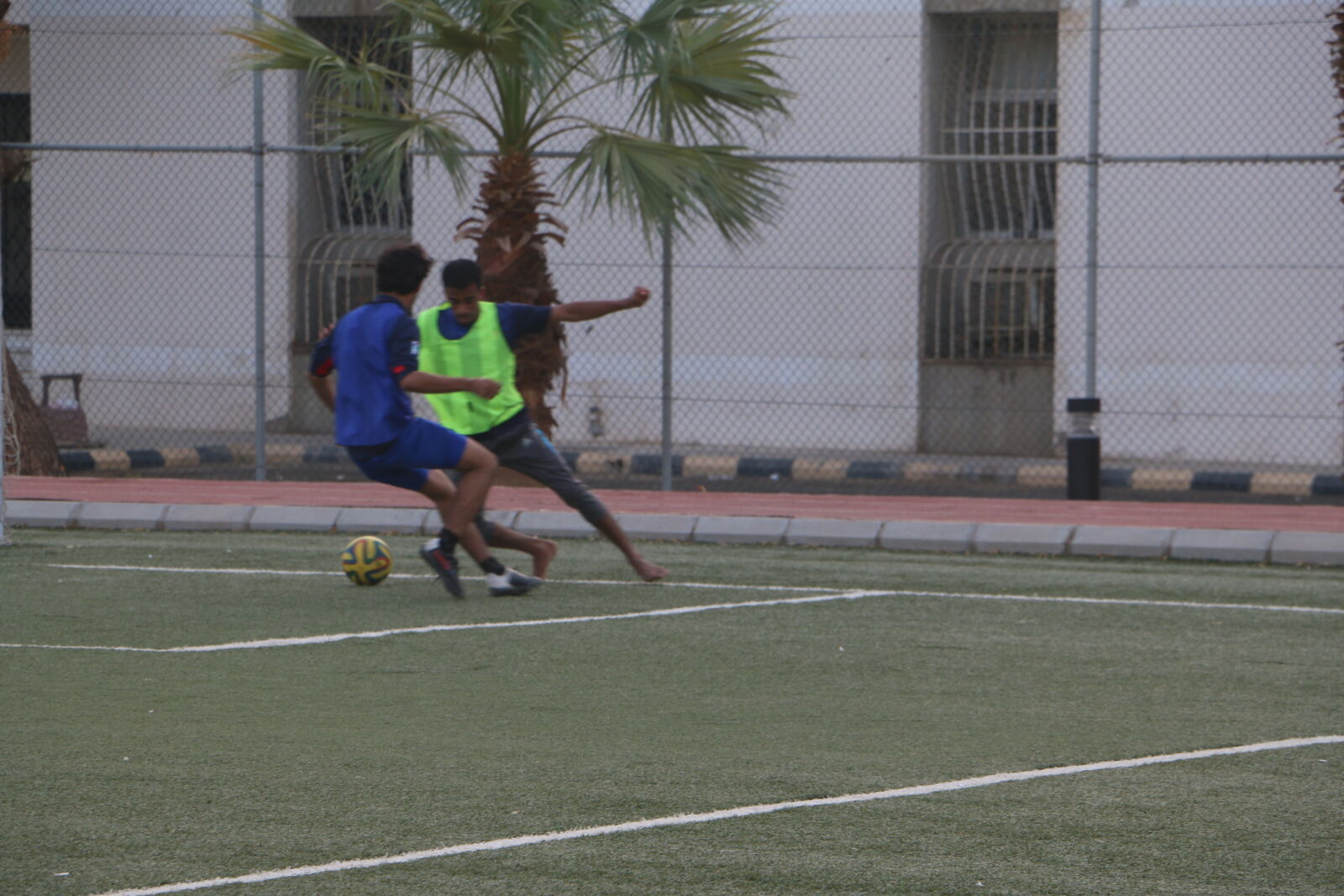 Canon EOS 70D sample photo